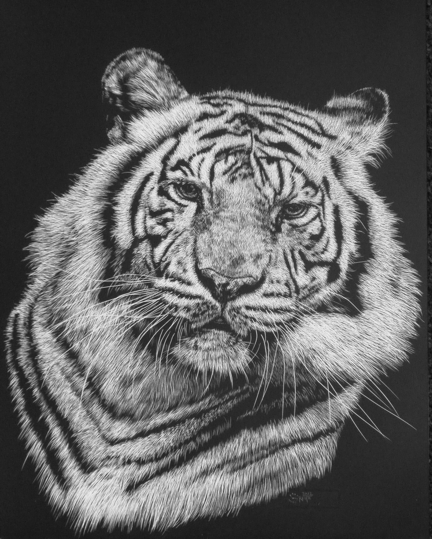 Как выглядит тигр рисунок карандашом