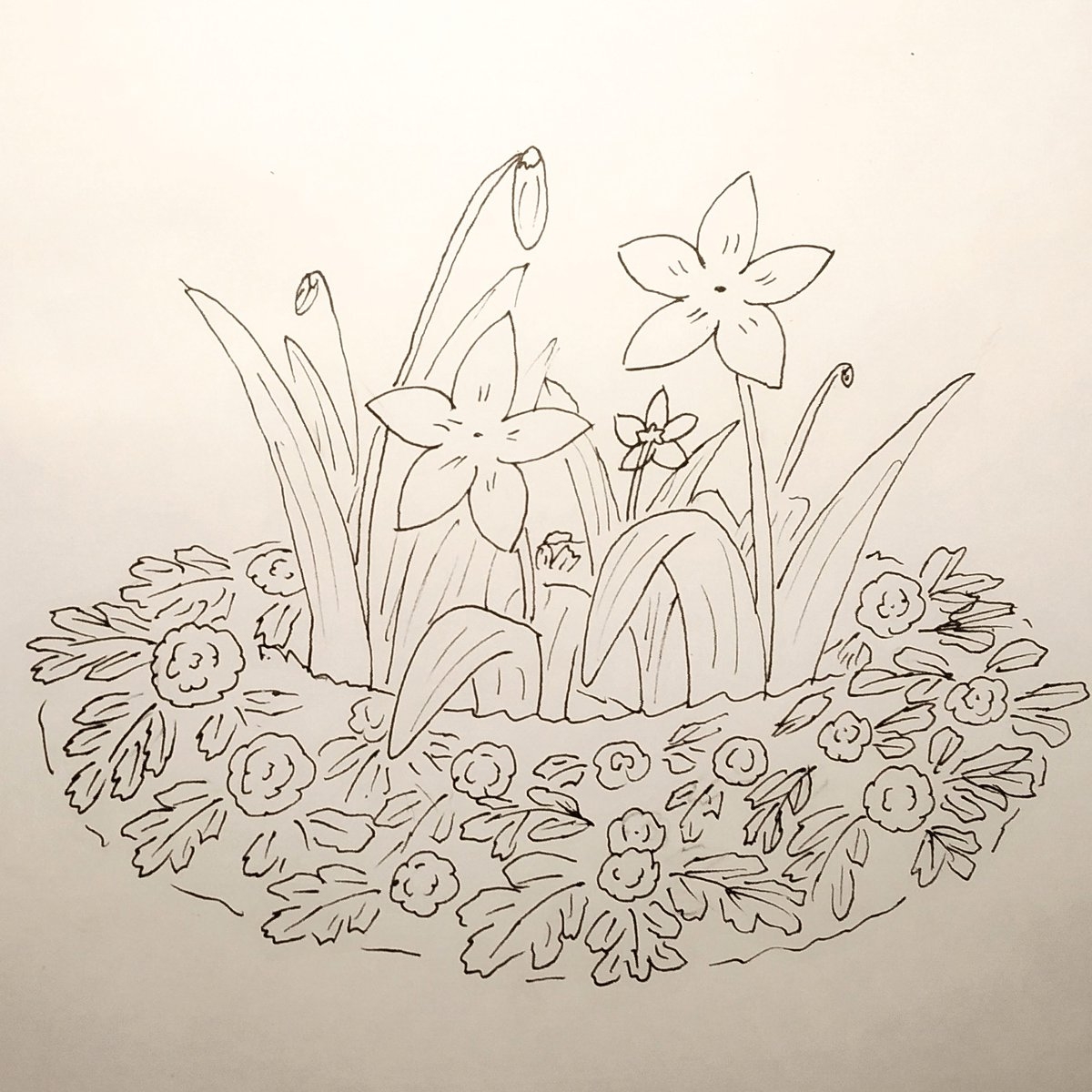 Рисование цветы на клумбе
