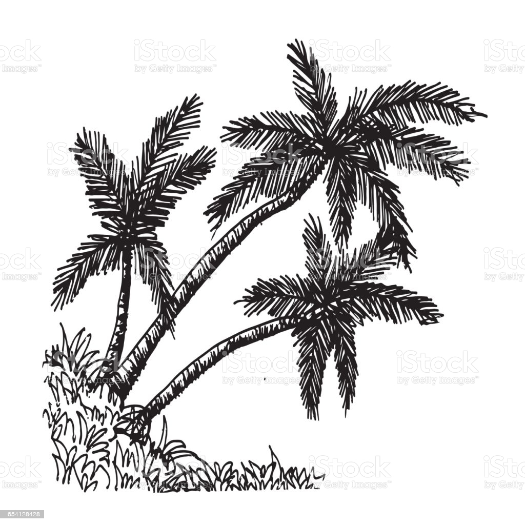 Раскраска три пальмы Лермонтов