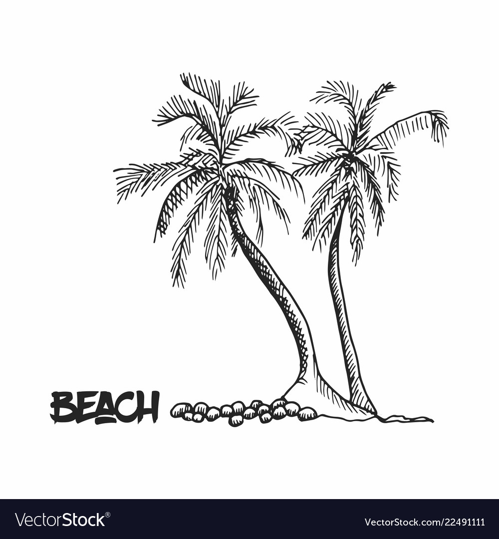 Эскиз девушка в очках на заднем плане пальмы