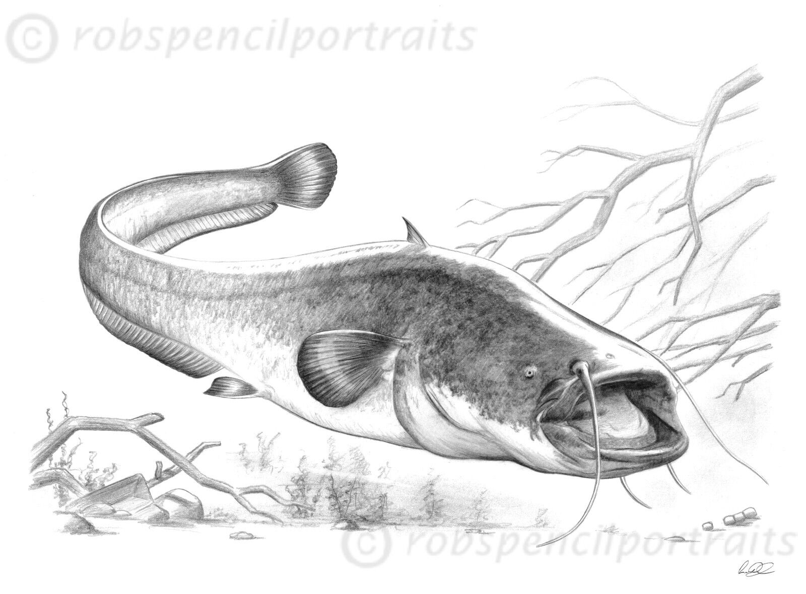 Детский рисунок рыбы сома (39 фото)