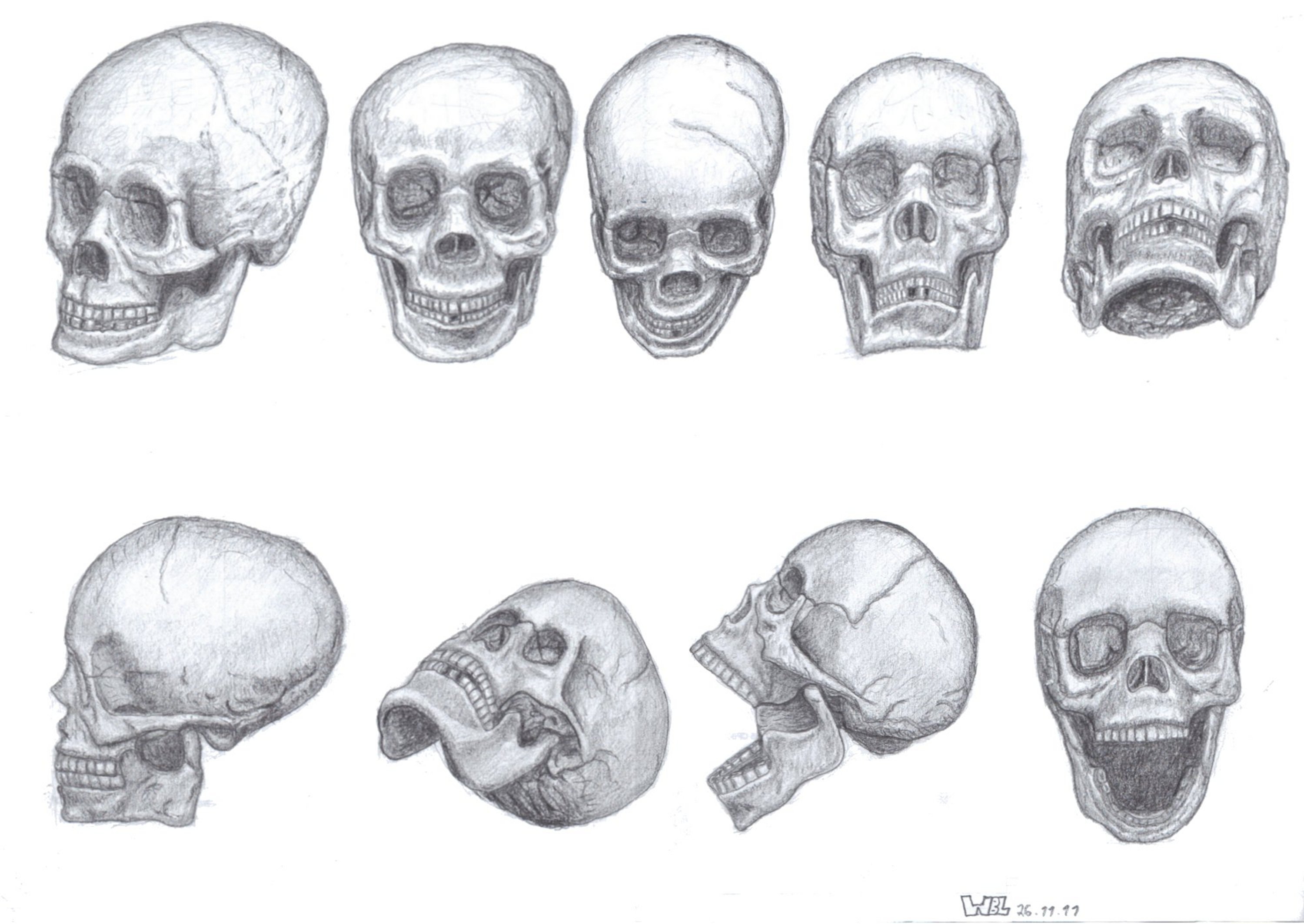 Череп рисунок карандашом поэтапно