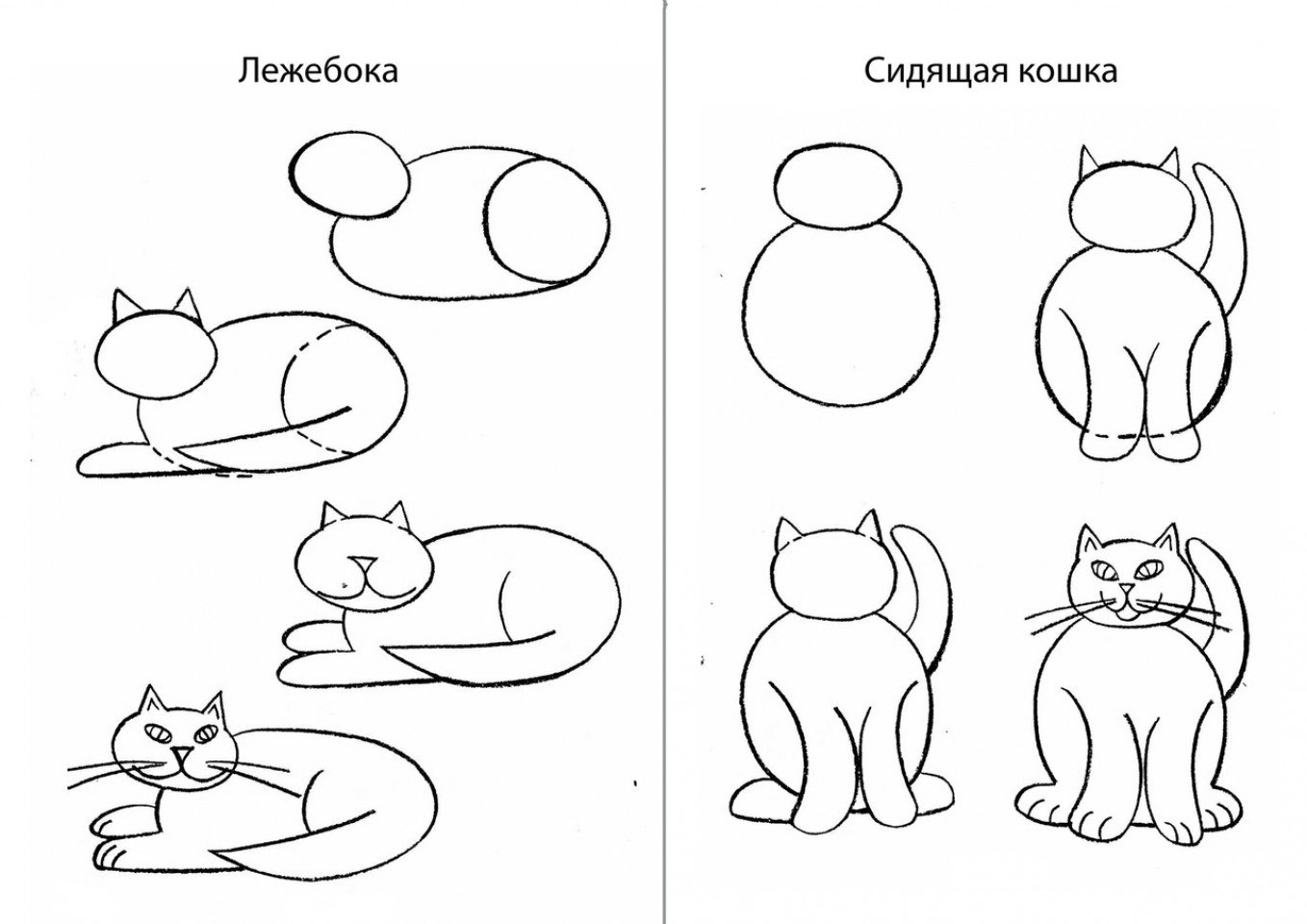 Поэтапное рисование кошки 1 класс презентация