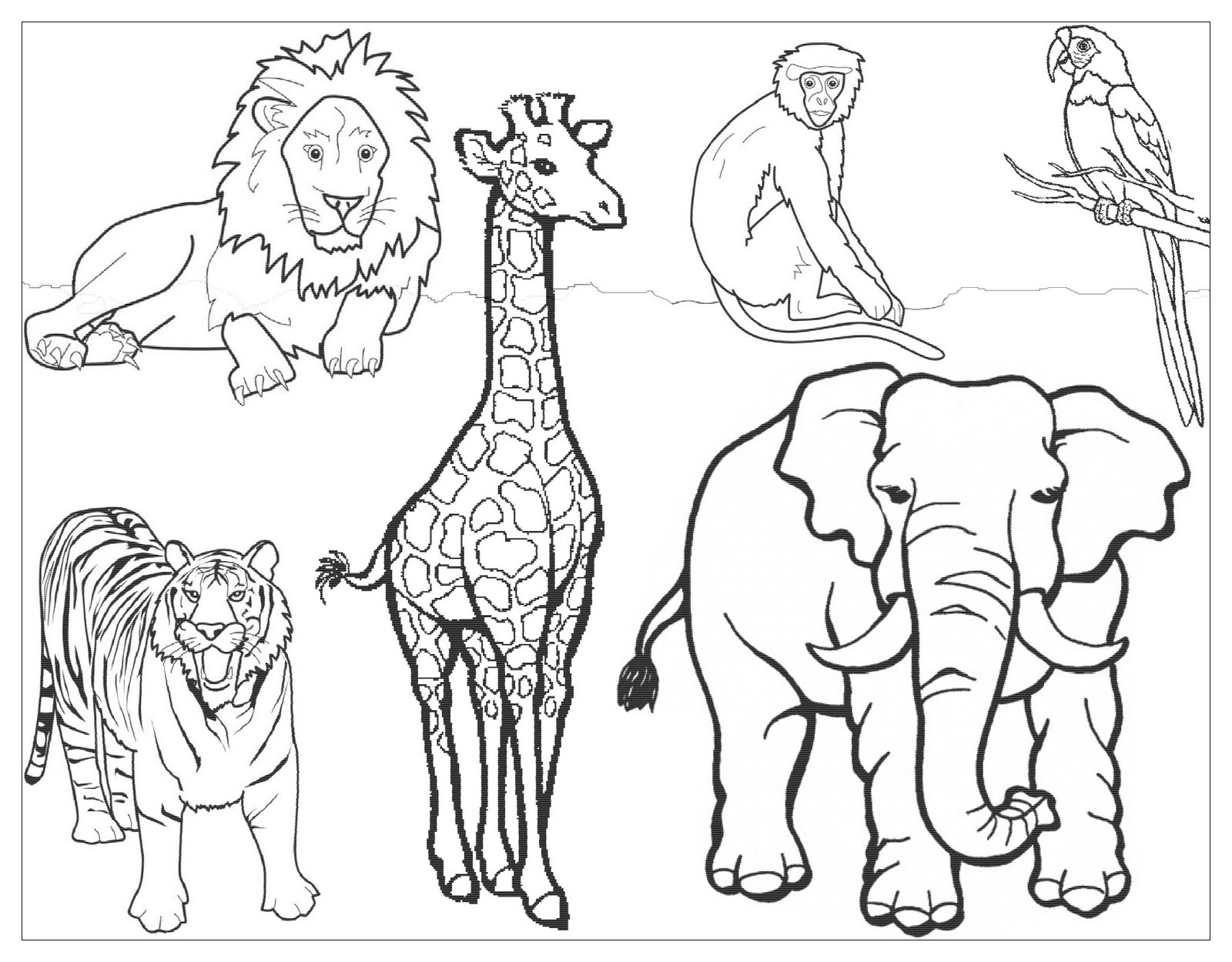 Раскраски животных зоопарка для детей