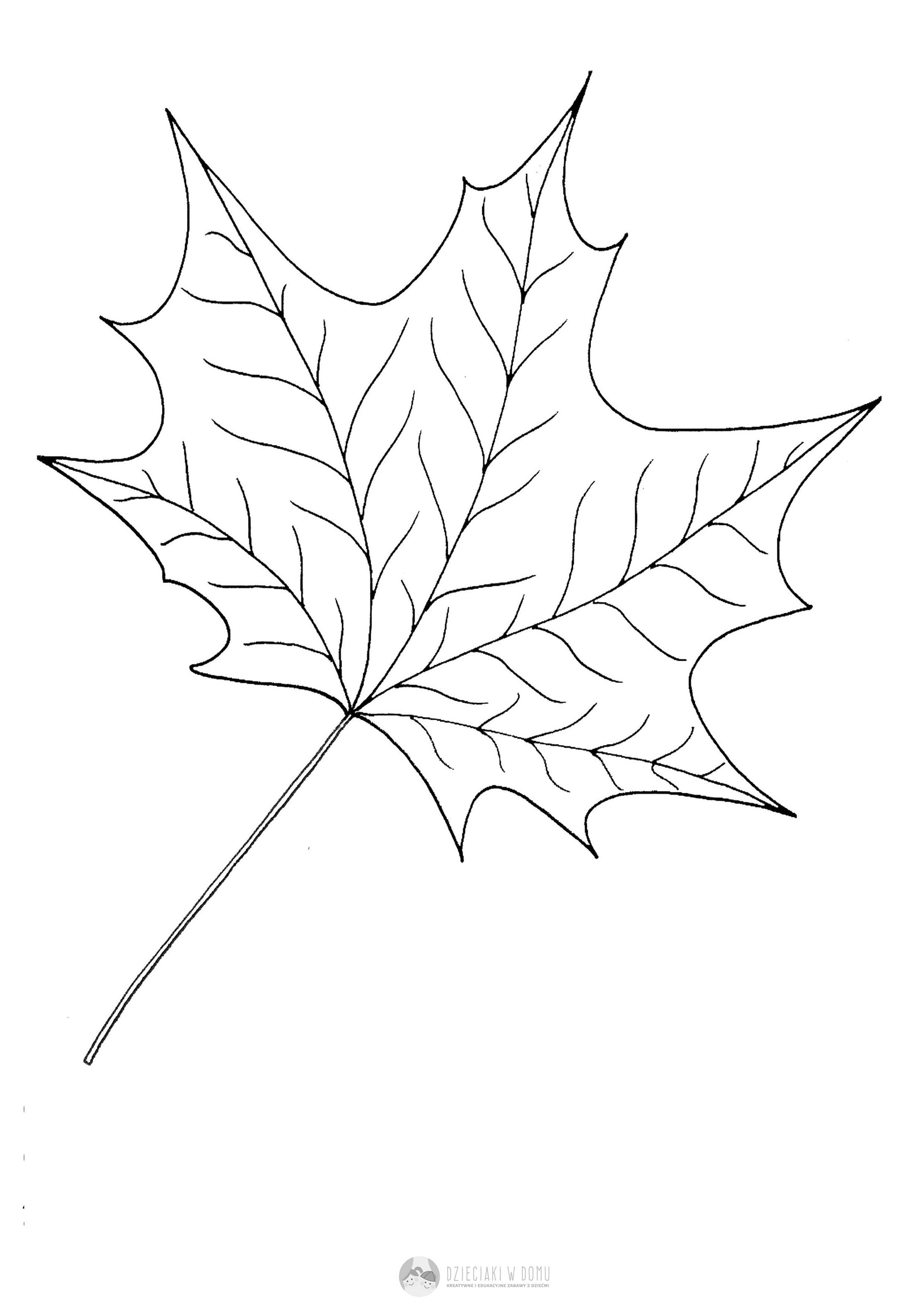 Красивые осенние листья карандашом