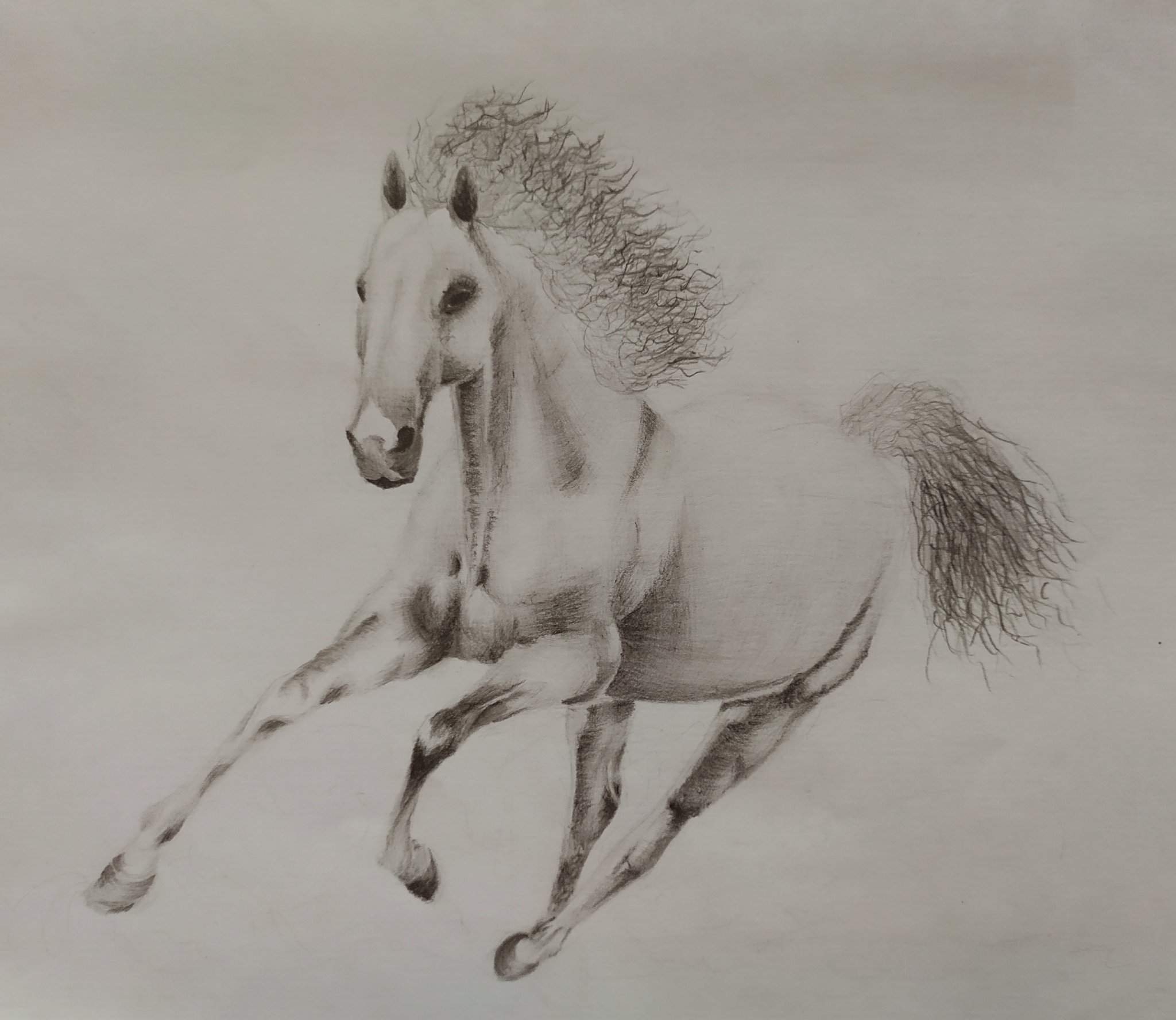 Лошадь карандашом штриховка