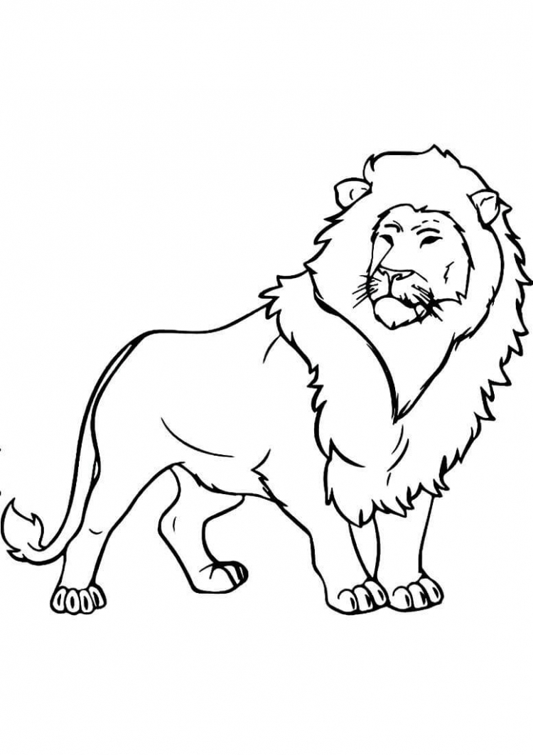 Рисунок лев и собачка раскраска