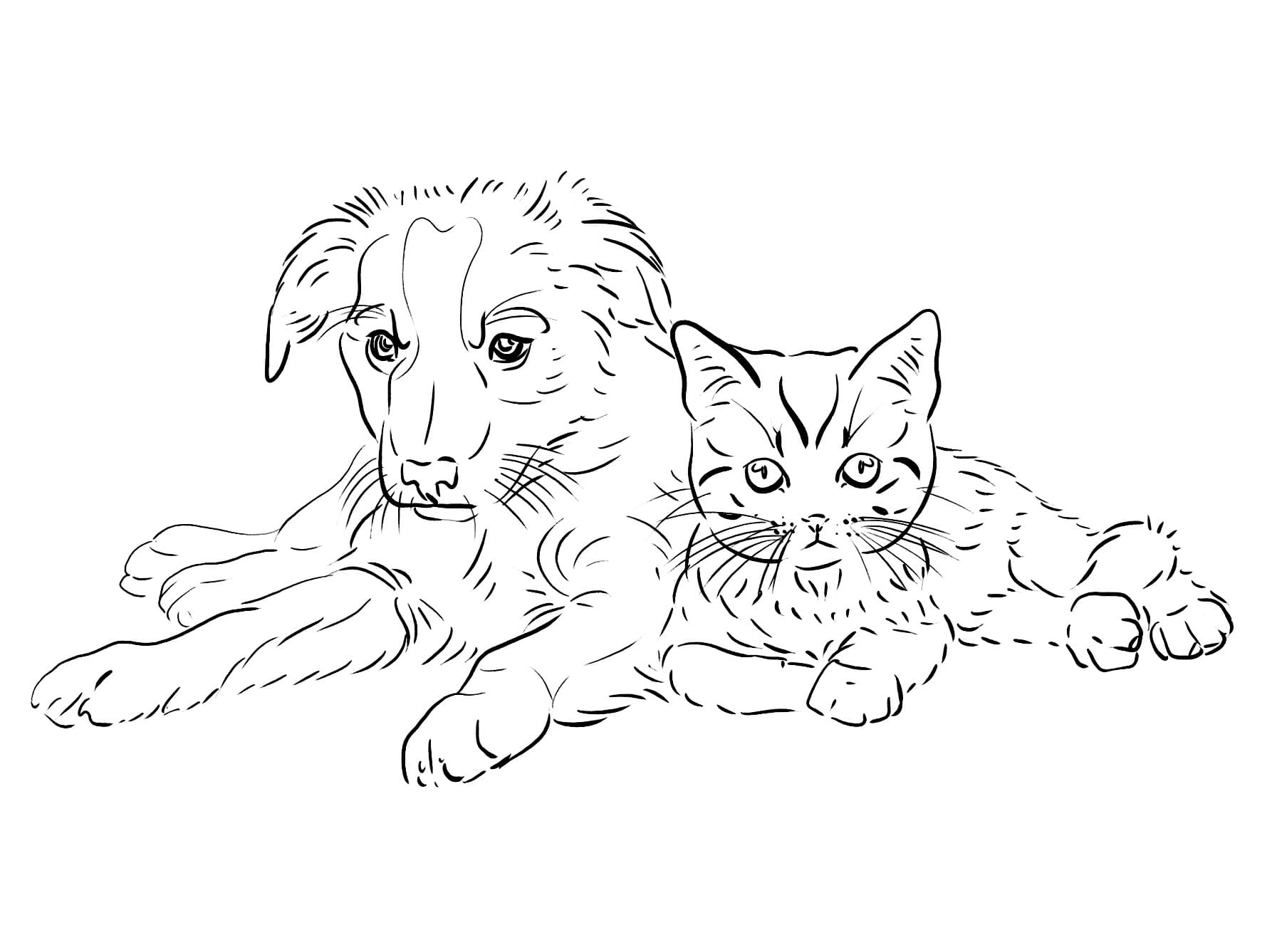 Раскраски кошек и собак - 50 фото