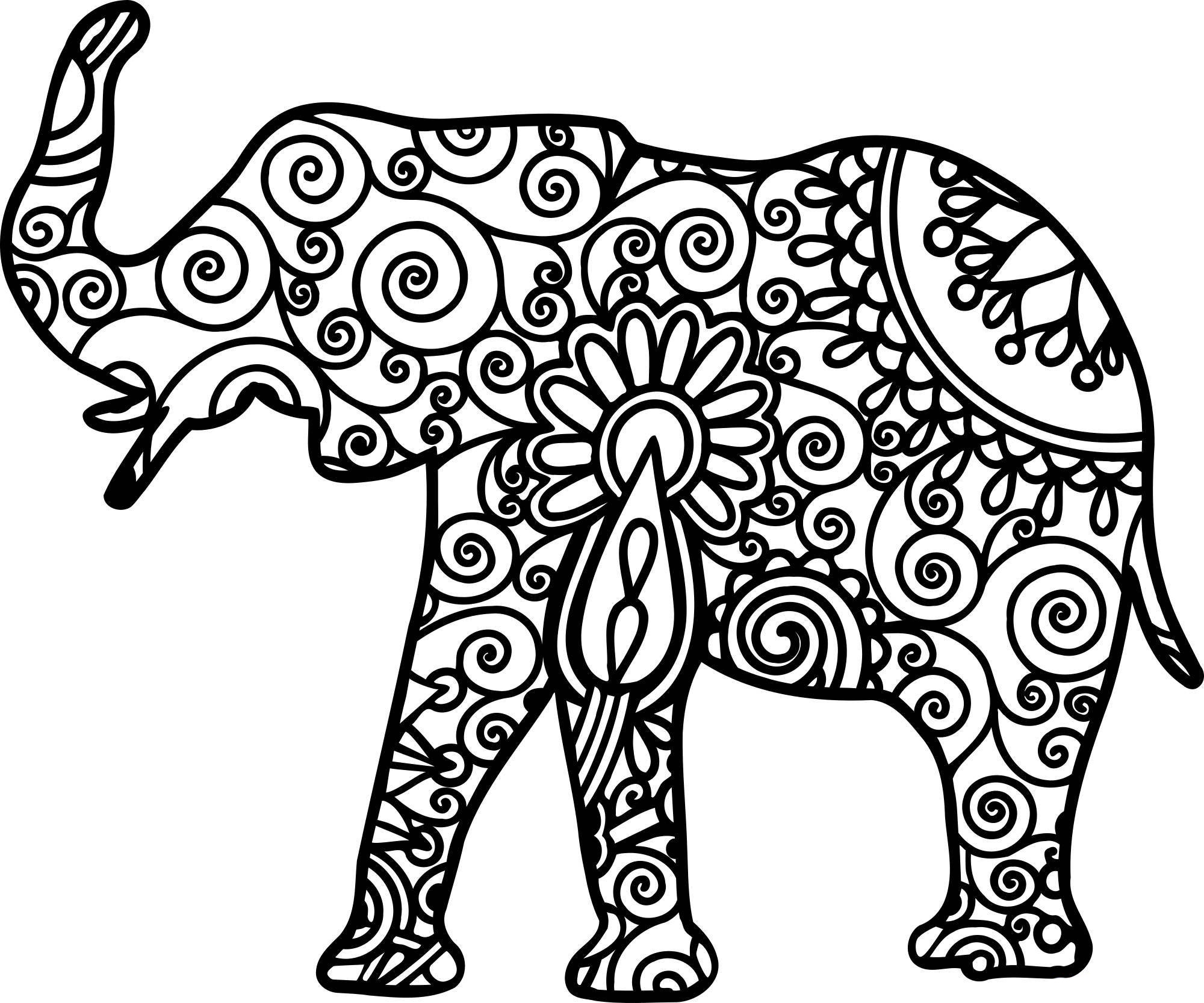 Индийский слон: изображения без лицензионных платежей