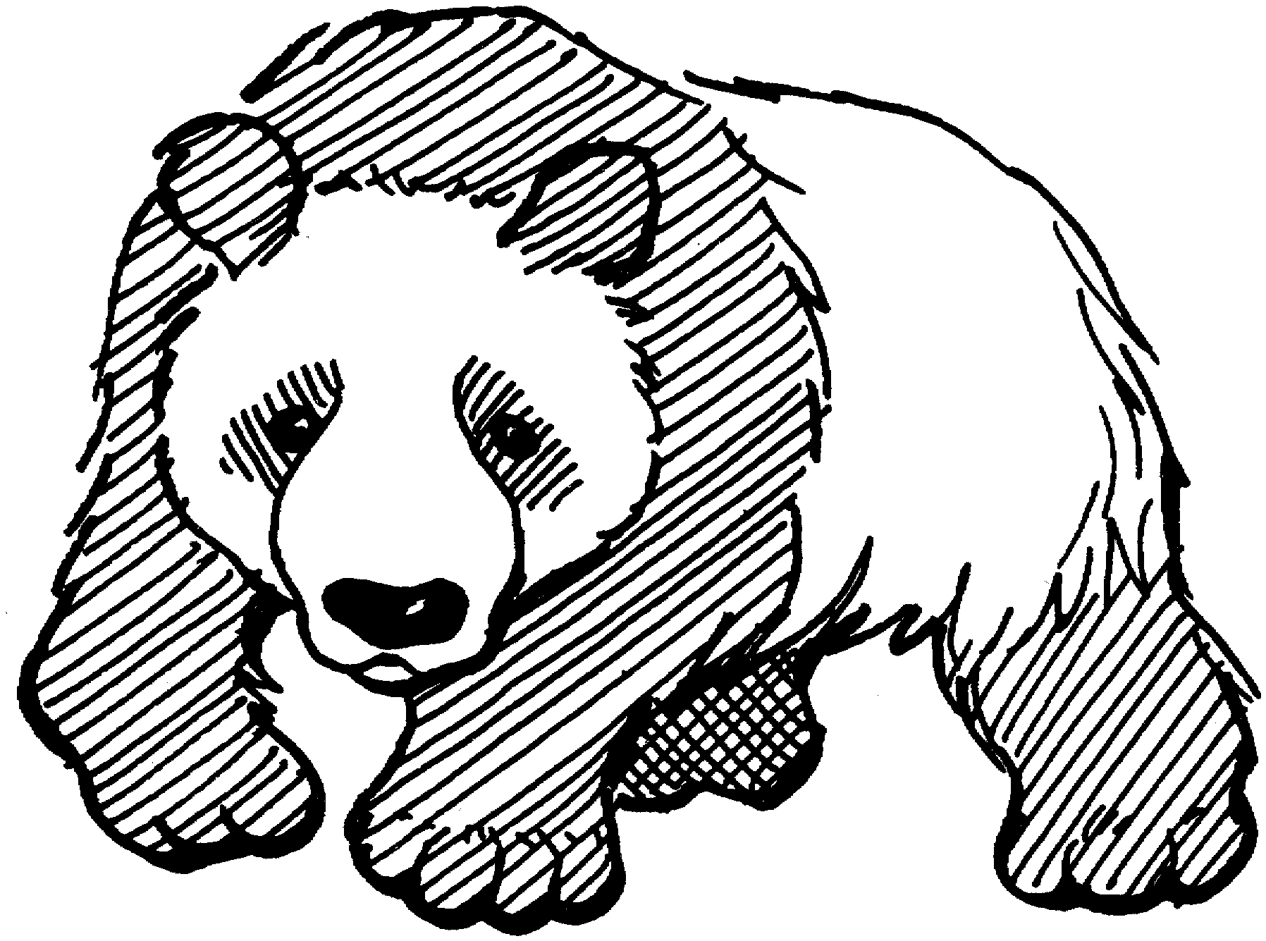 Раскраска медведь Панда