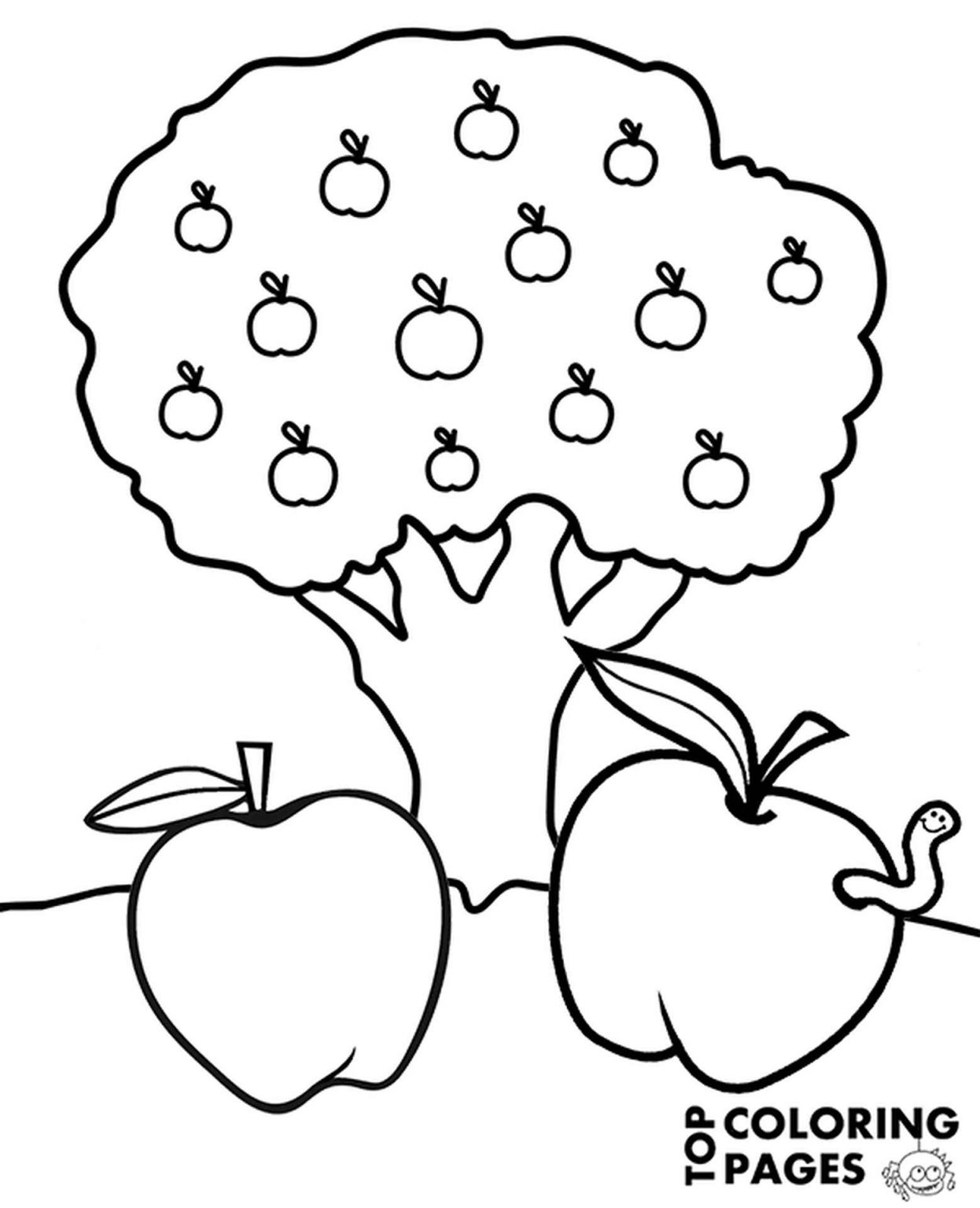 Раскраска сад с яблоками