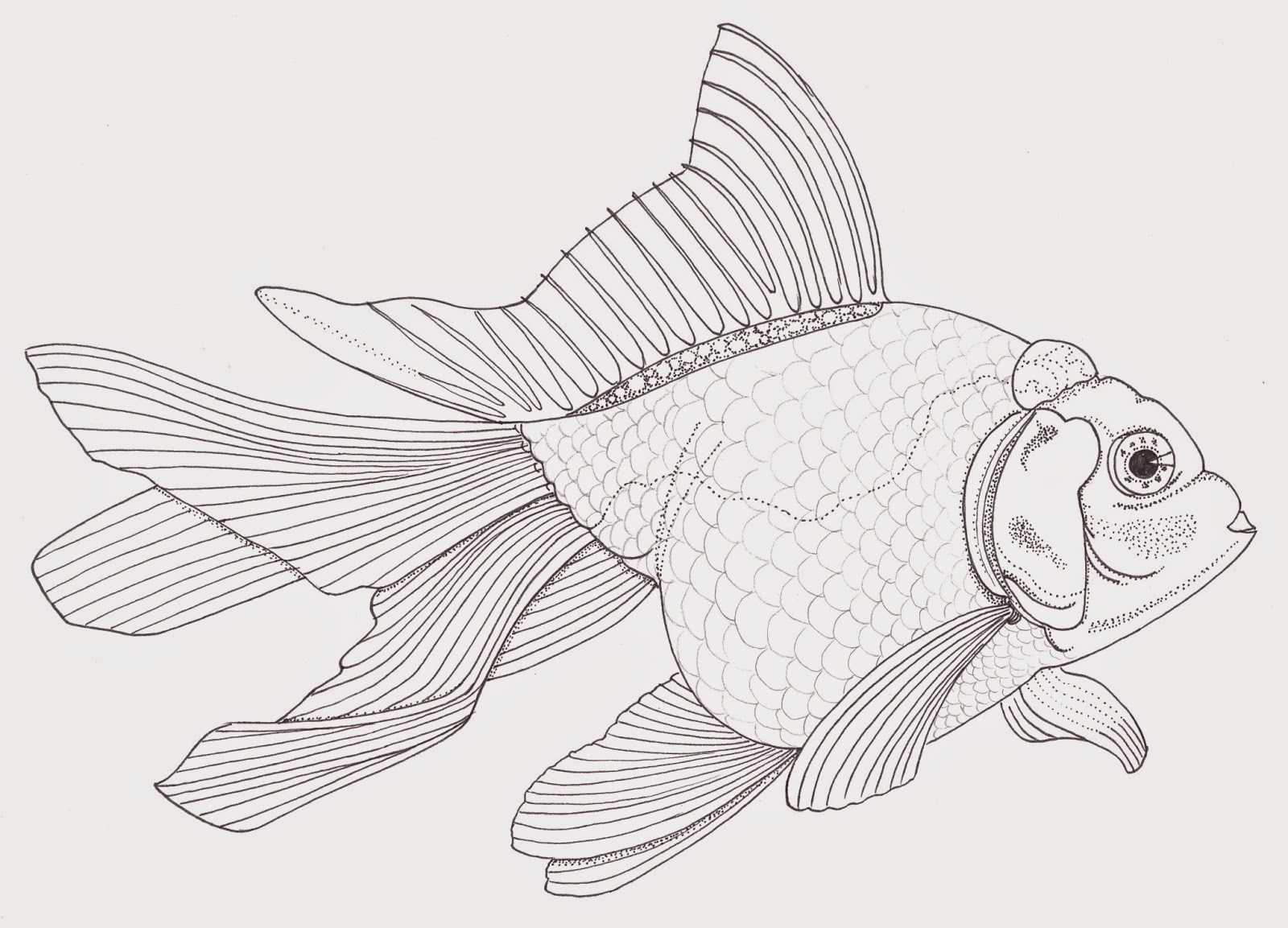 Рисование рыбы в движении