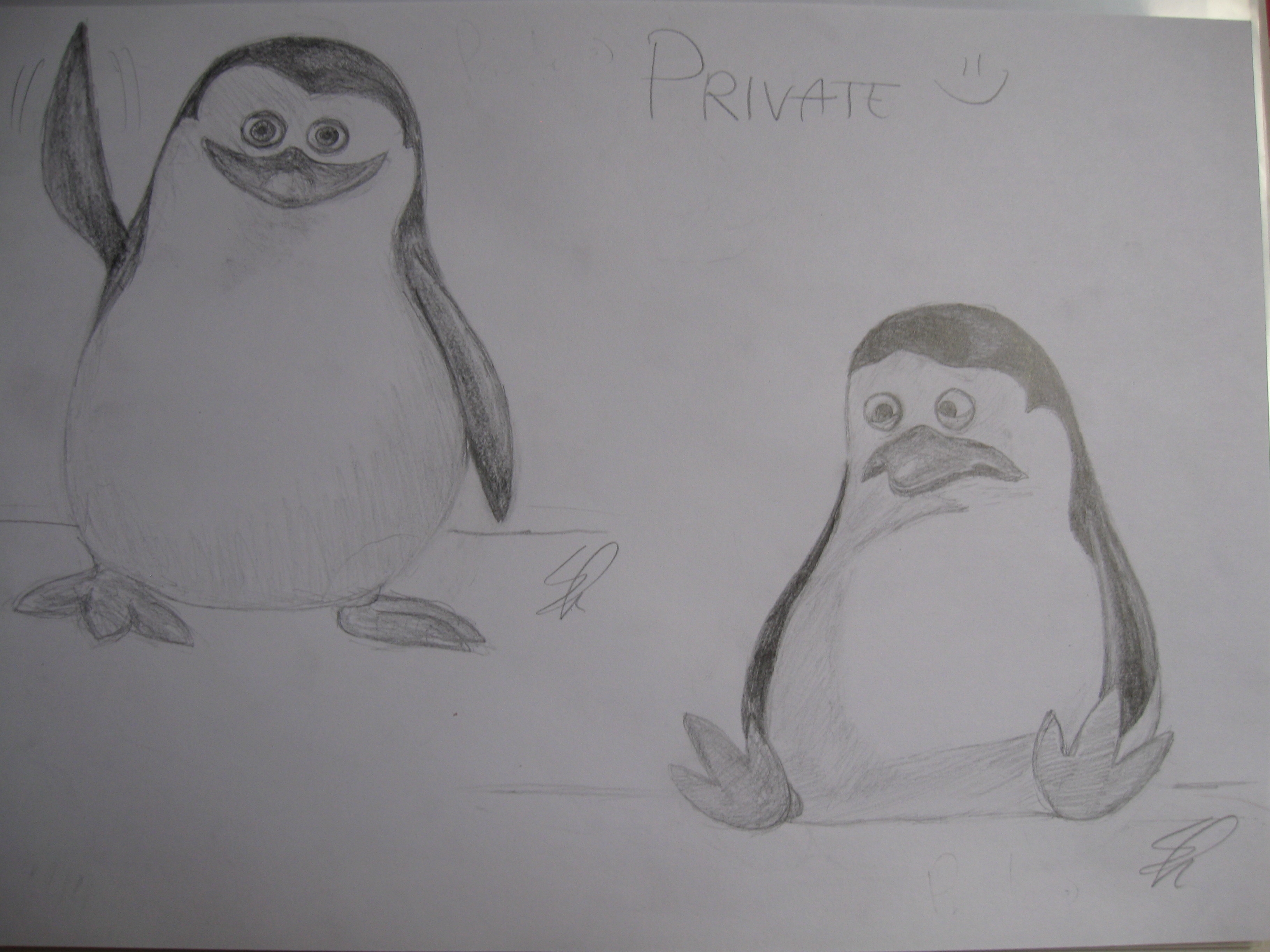 Рисунок пингвина карандашом для срисовки