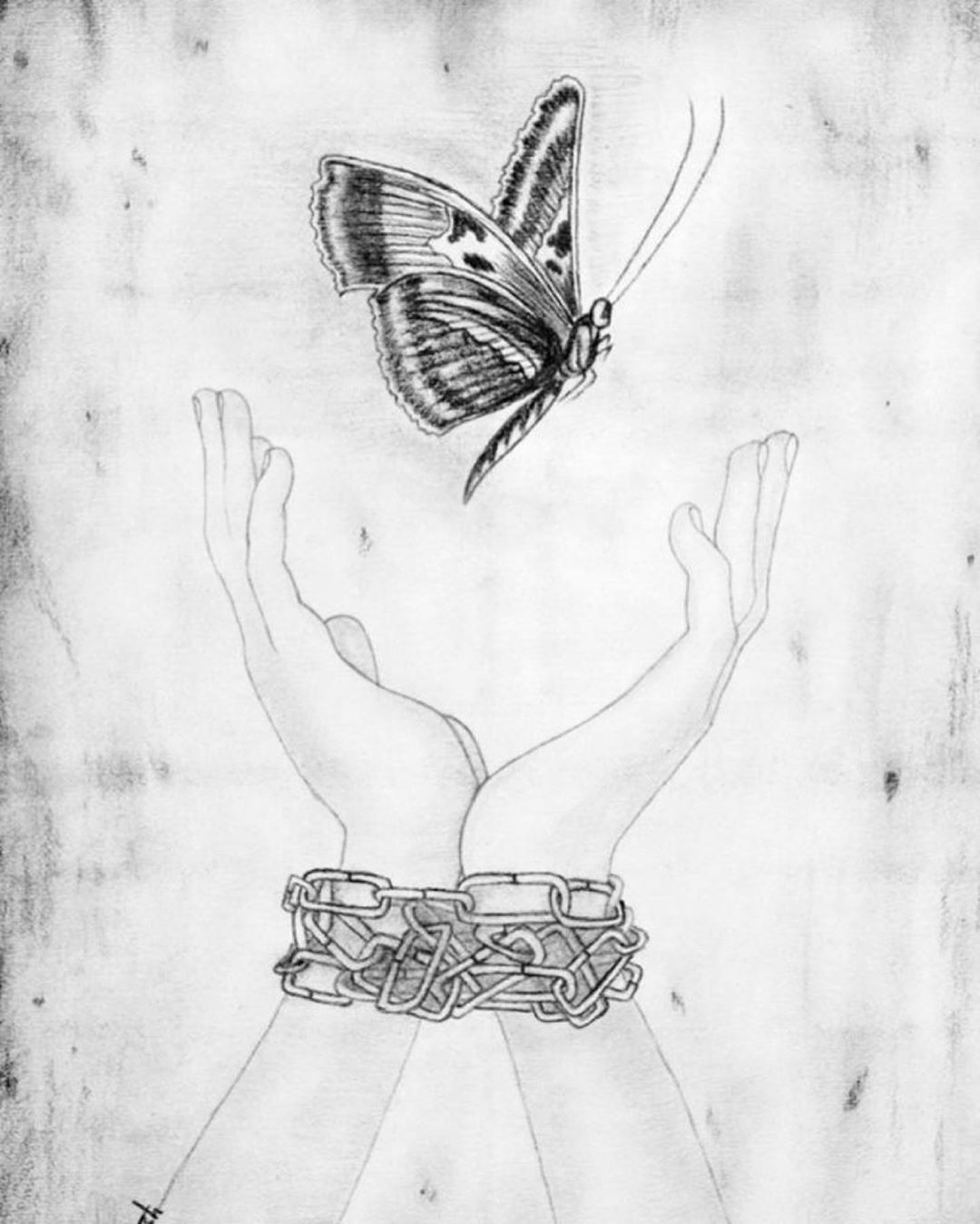 Девушка с бабочками карандашом