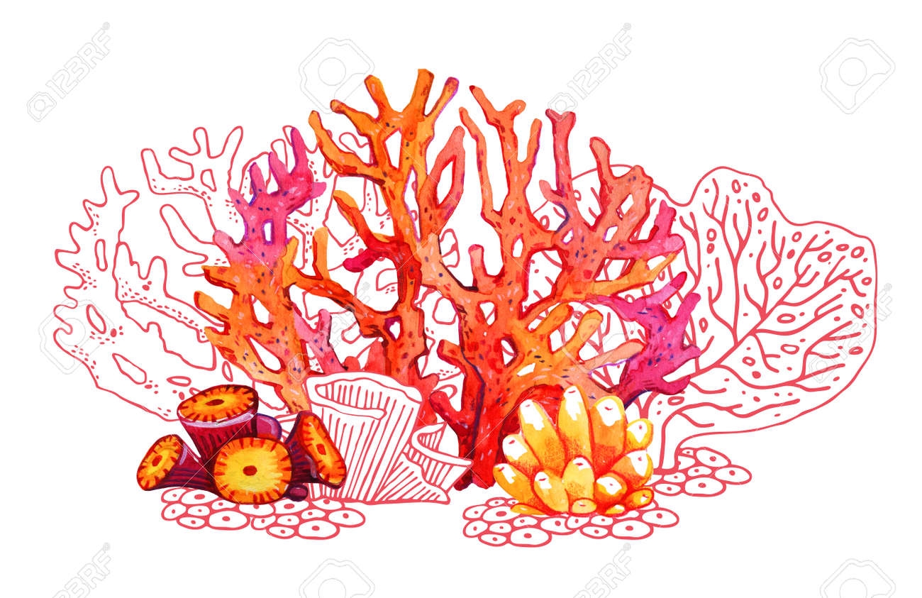 Стилизованные кораллы