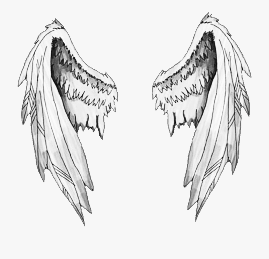 Рисунки крылья ангела для срисовки (33 фото)