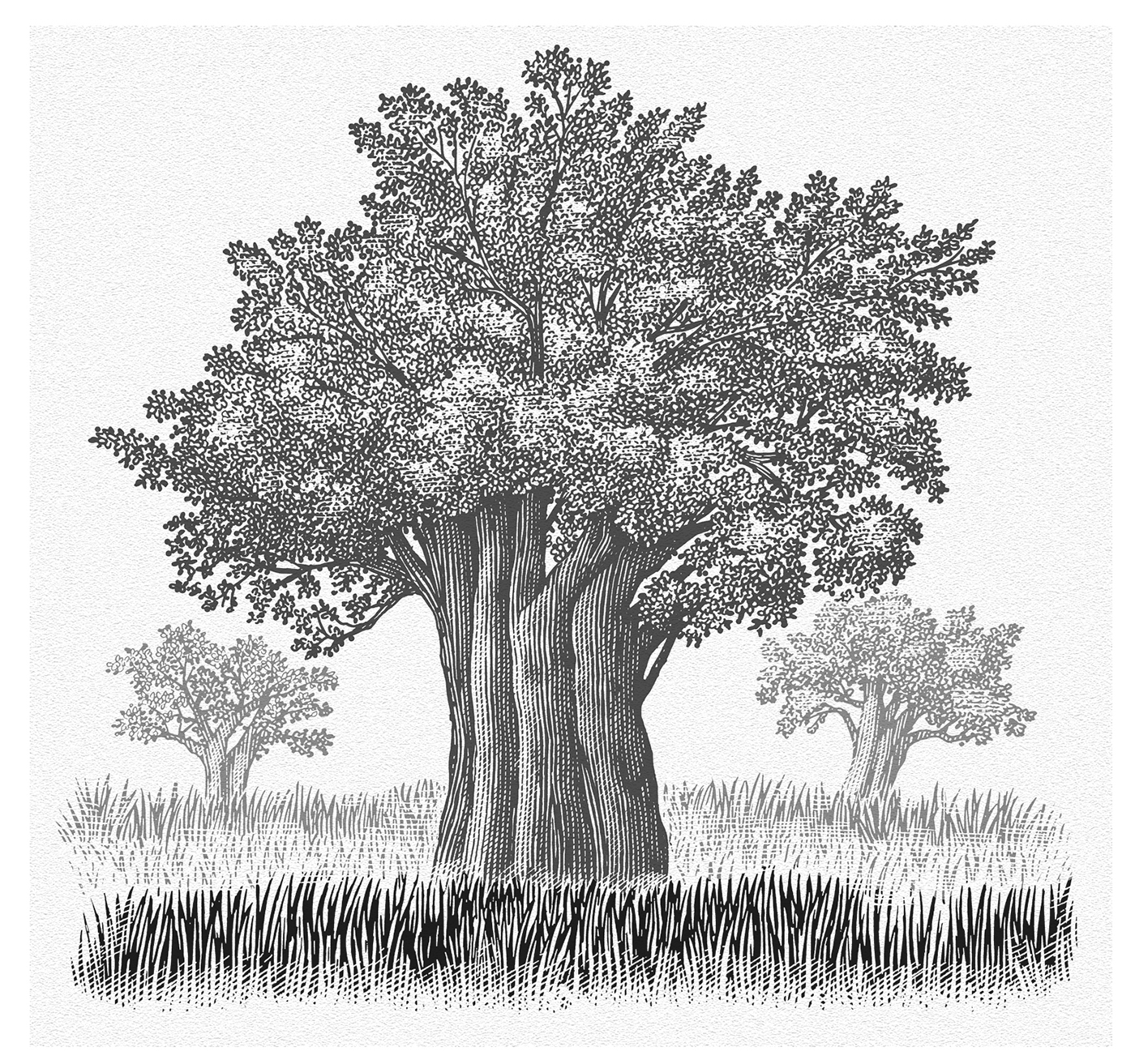 Дерево Illustrator