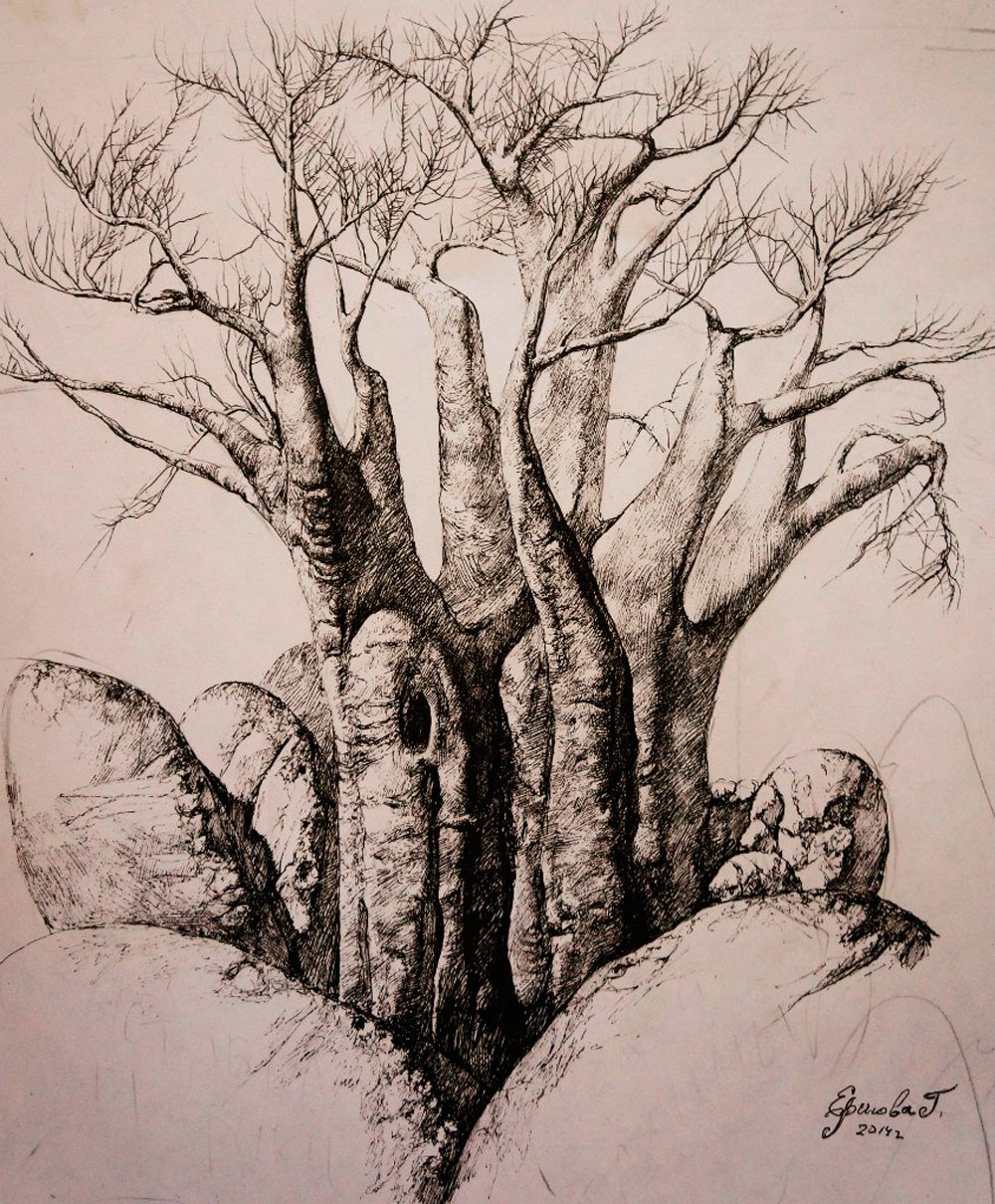 Техника рисования дерева карандашом