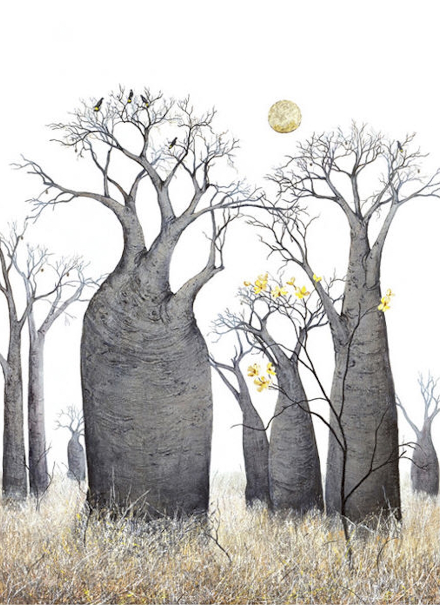 Illustrations of Baobab Fantasies