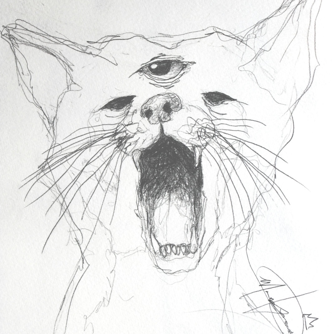 Рисунки для срисовки страшные коты