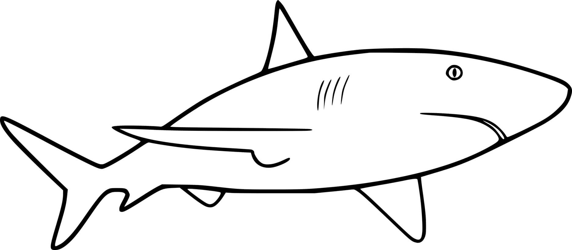 Машина акула раскраска
