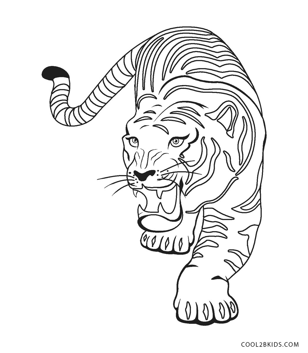 Тигр раскраска реалистичная