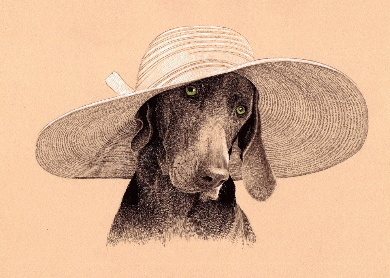 Животные шляпа. Собака в шляпе. Картина собака в шляпе. Собака в шляпе рисунок. Пес в шляпе.