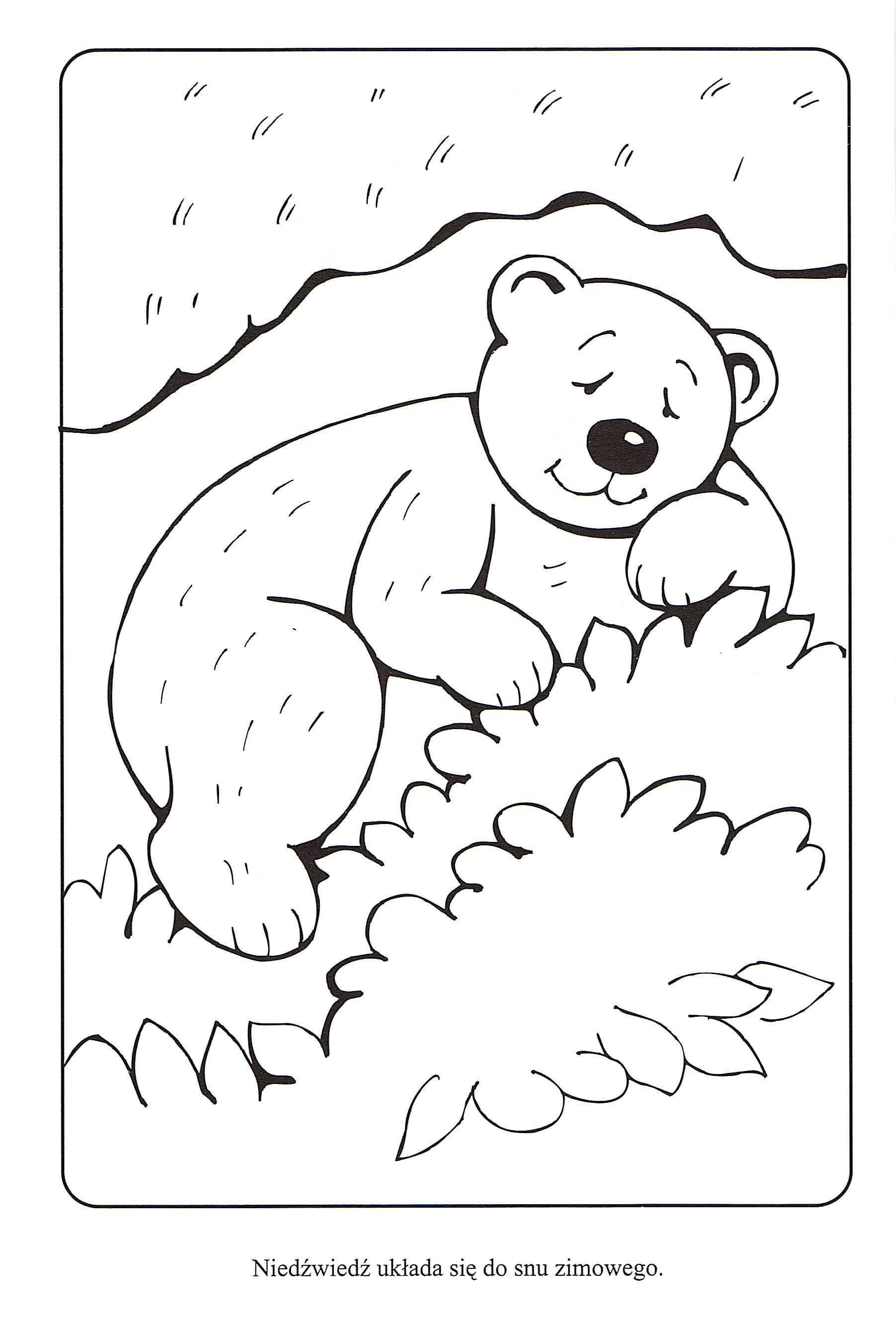 Медведь зимой раскраска для детей