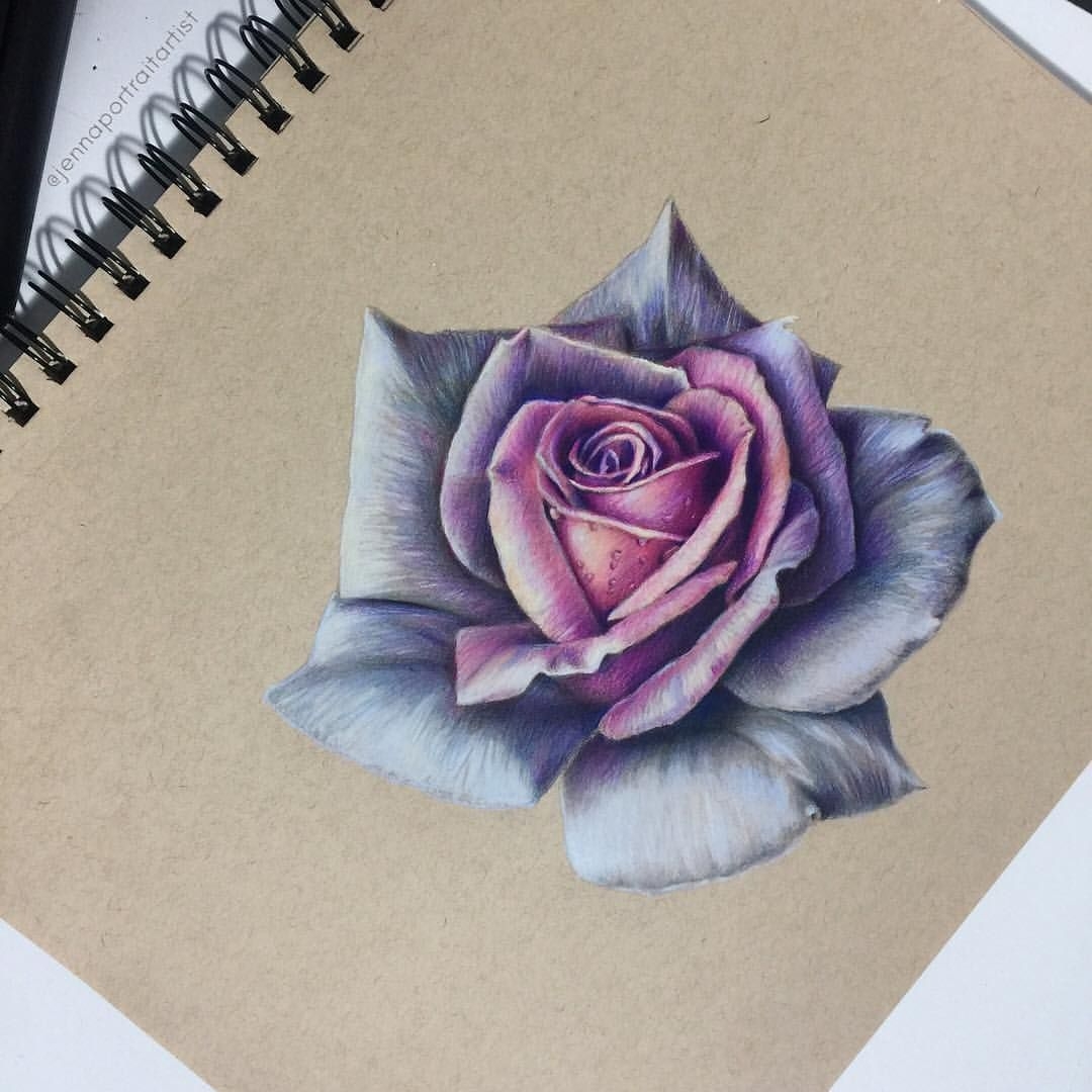 Рисунок роза цветной карандаш бежевая бумага