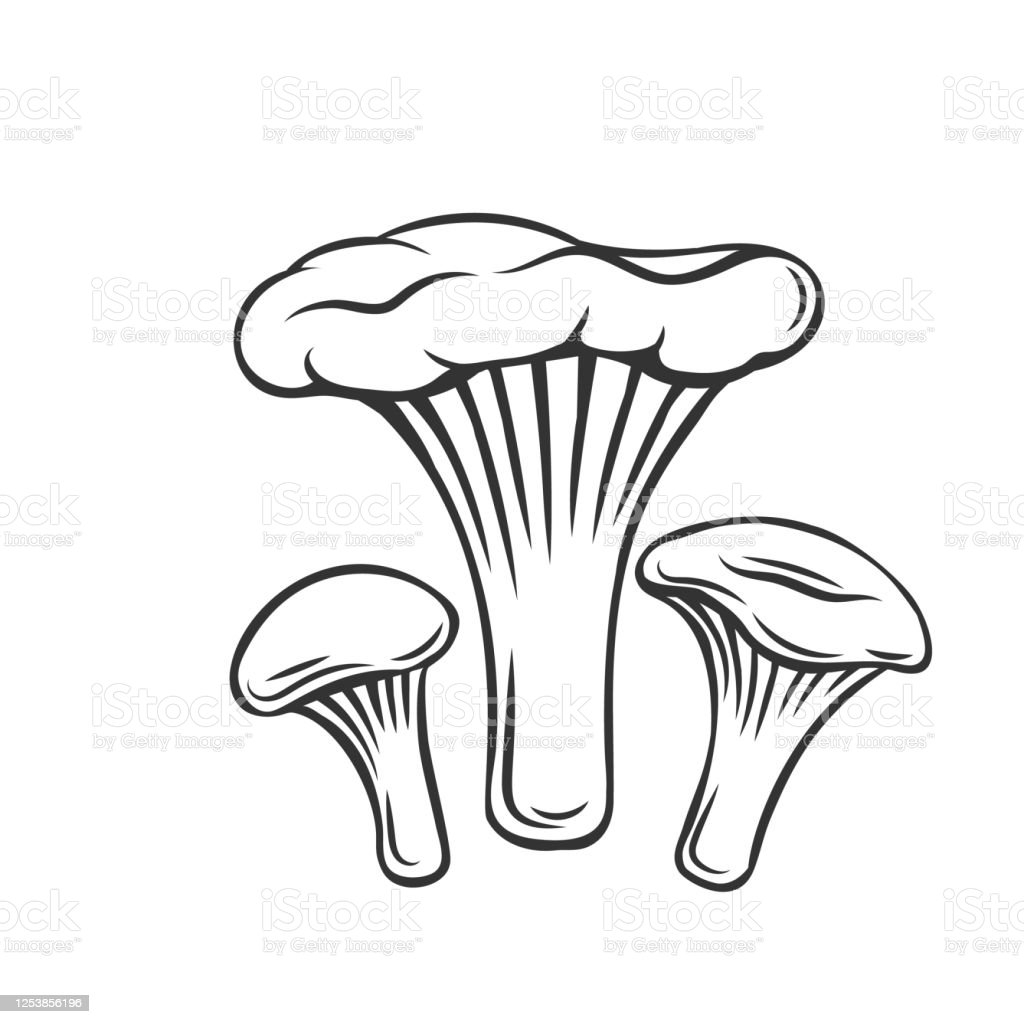 Картинки раскраски лисички грибы (52 фото)