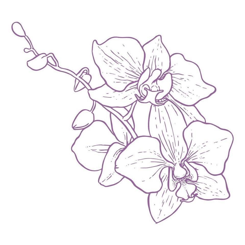 Цветы орхидей для раскрашивания для детей | Премиум Фото