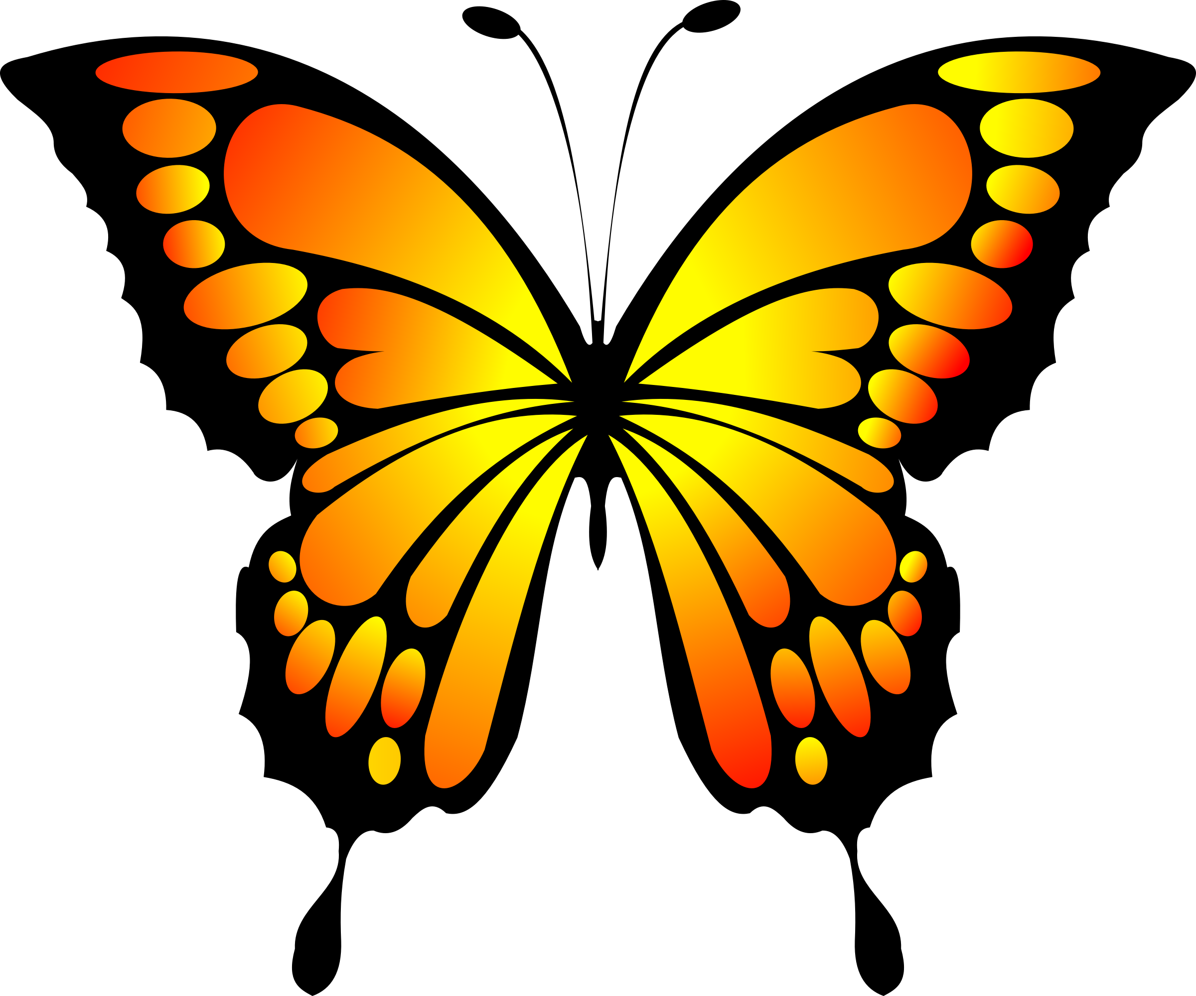Бабочка скопировать. Бабочка рисунок. Яркие бабочки. Разноцветные бабочки. Бабочки цветные.