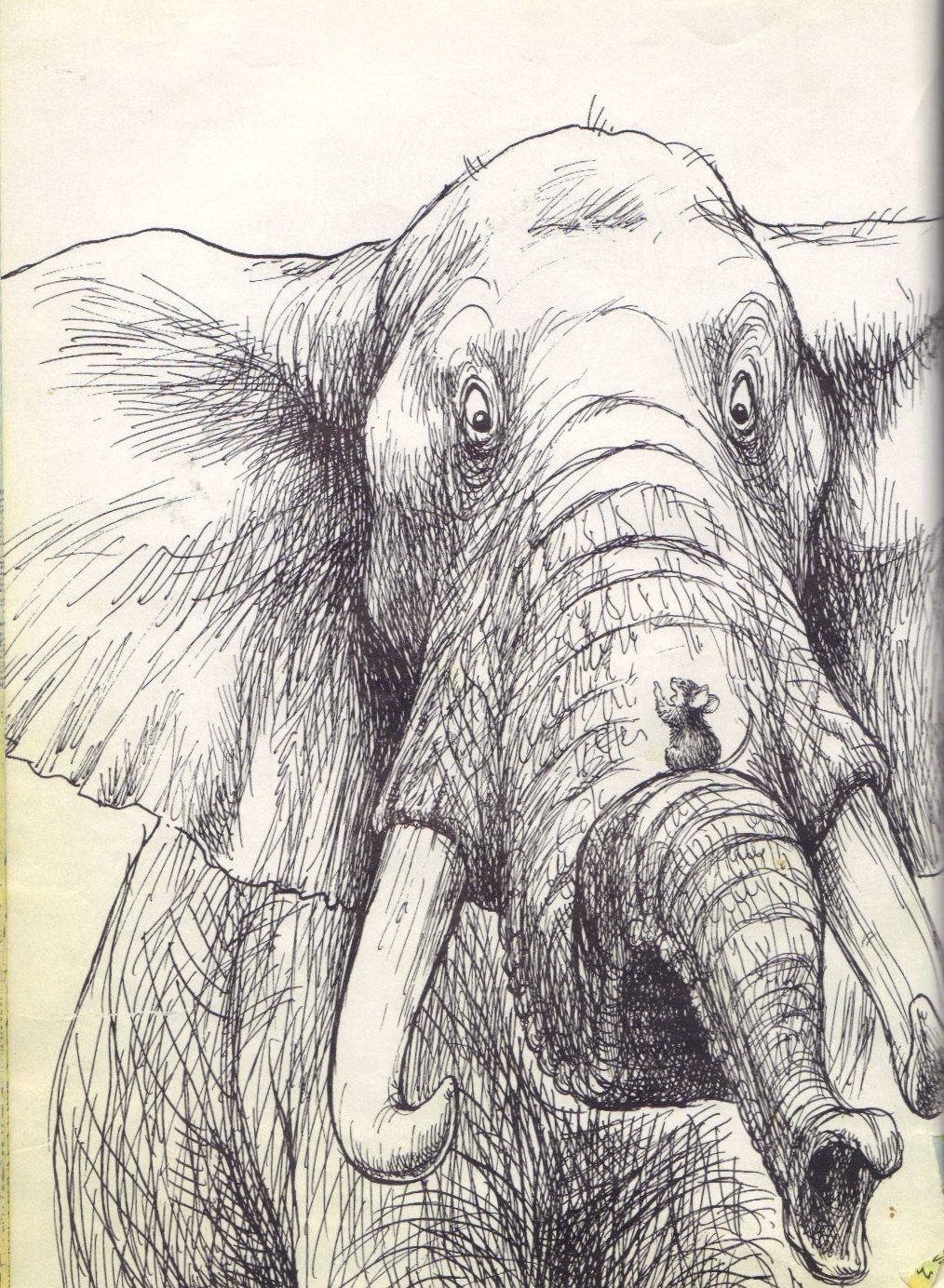 Зарисовки слона