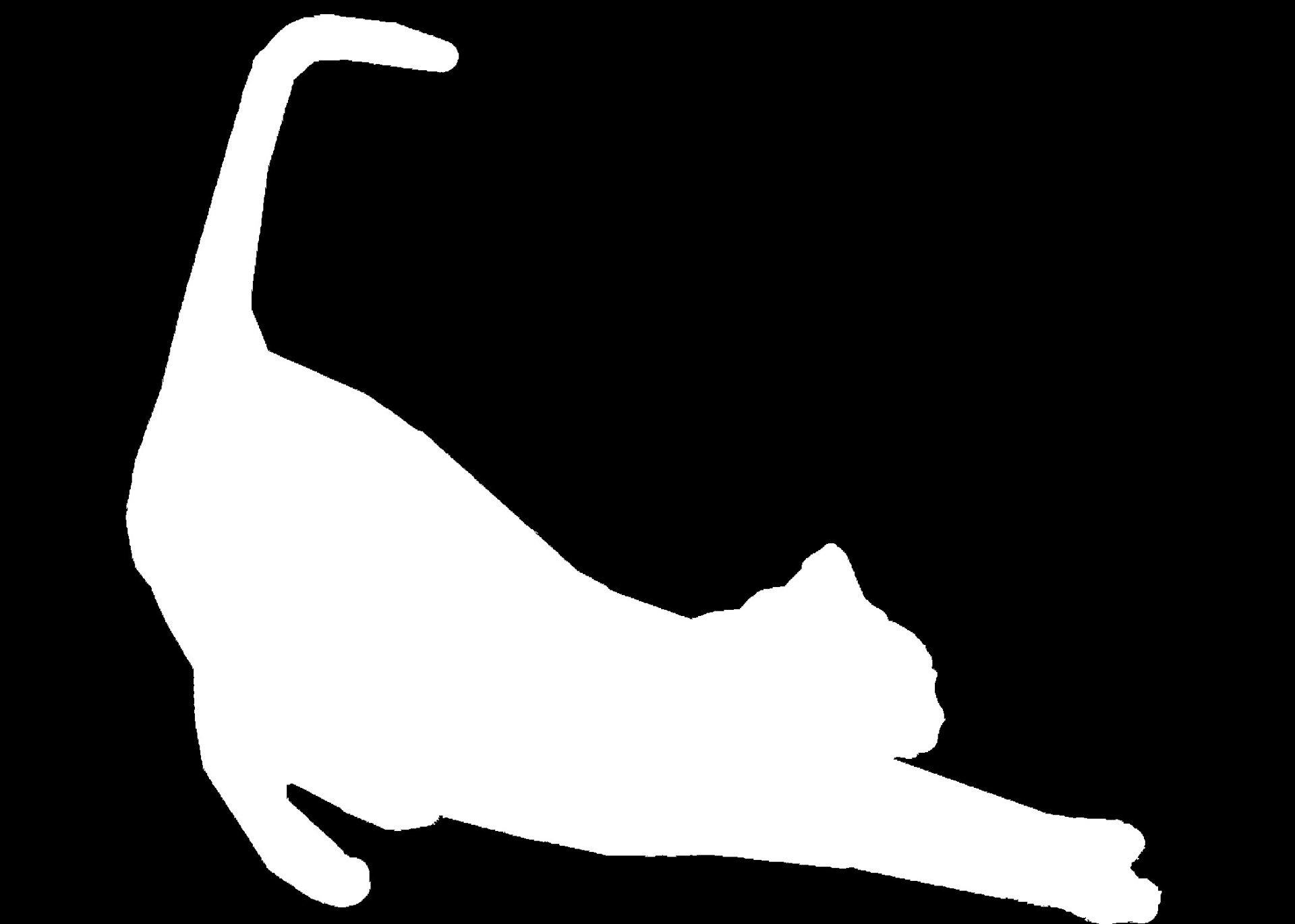 Черный силуэт кошки на белом фоне