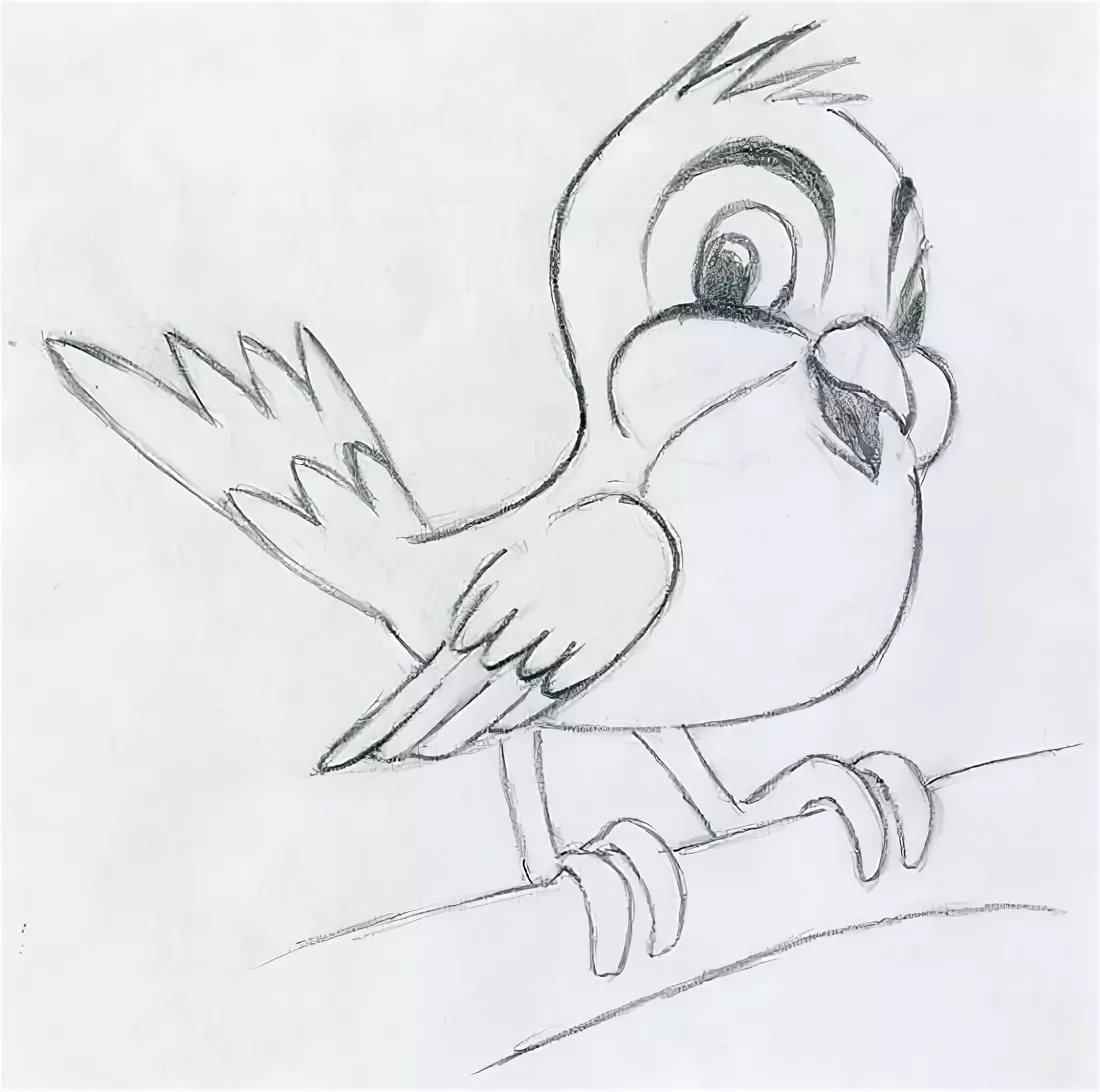 Рисунки птиц для срисовки легкие. Птичка рисунок карандашом. Птицы для срисовки. Рисунки для срисовки птицы легкие. Рисунок птицы карандашом для срисовки.
