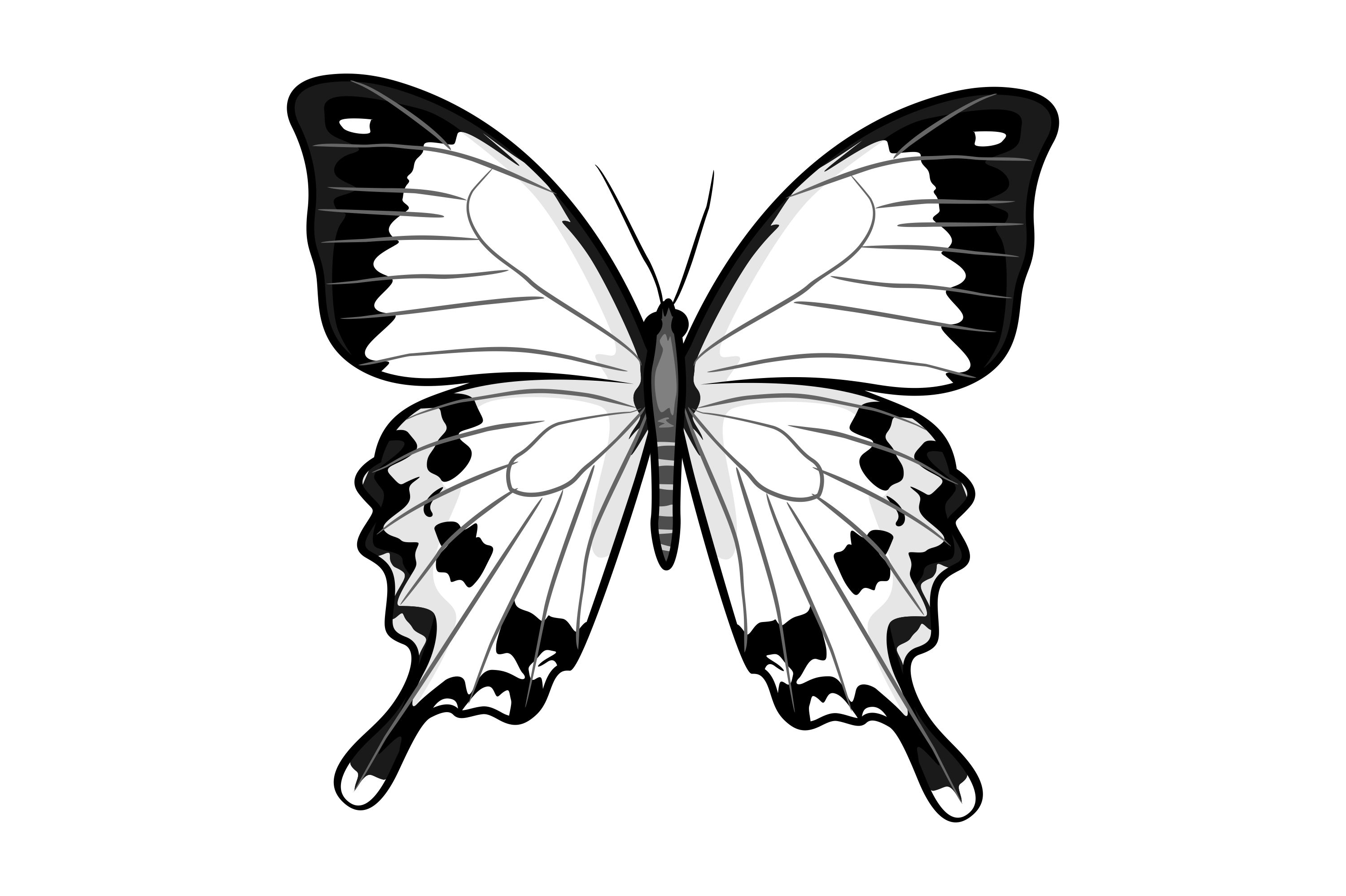 Бабочка в иллюстраторе