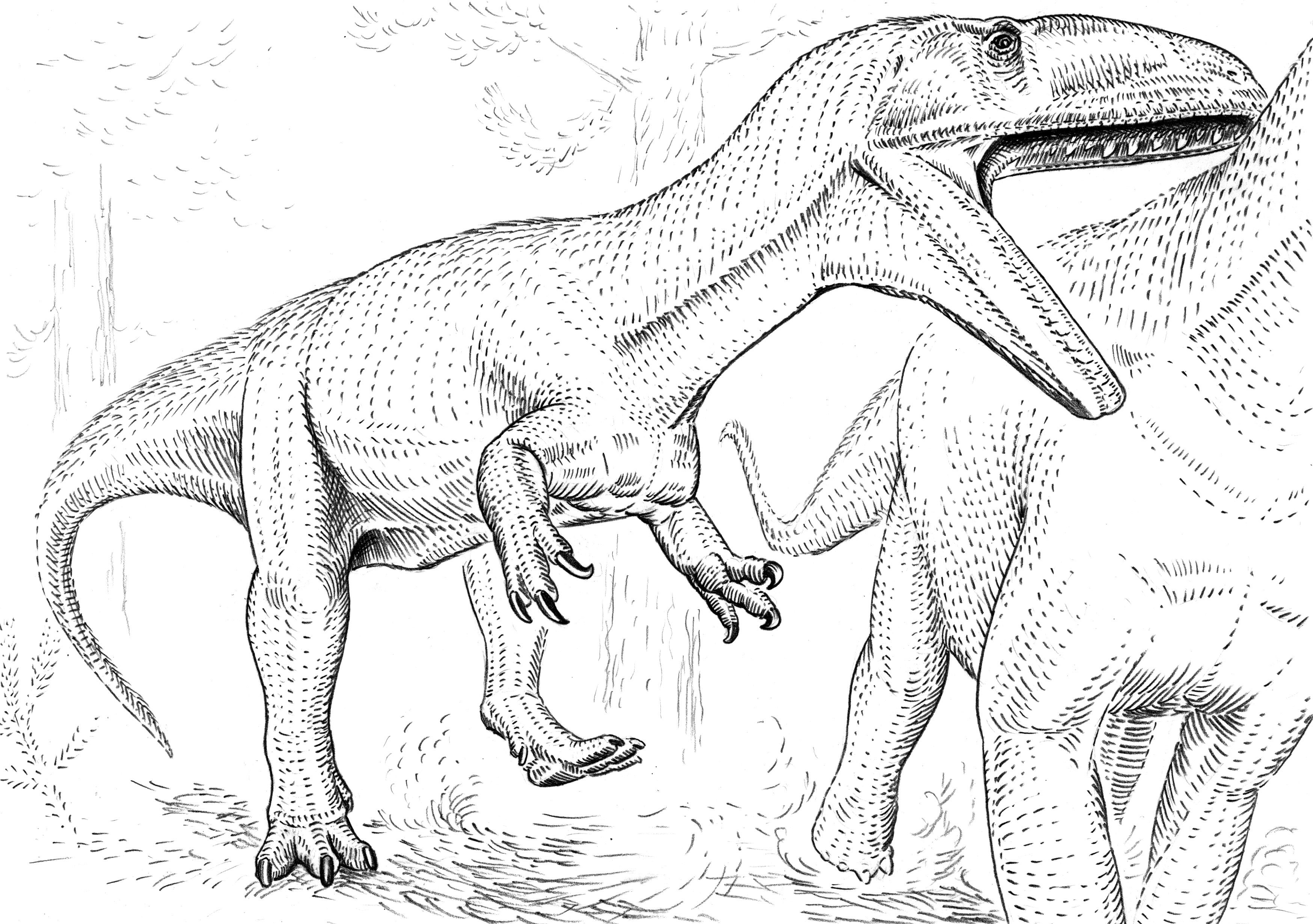 Аллозавр разукрашка