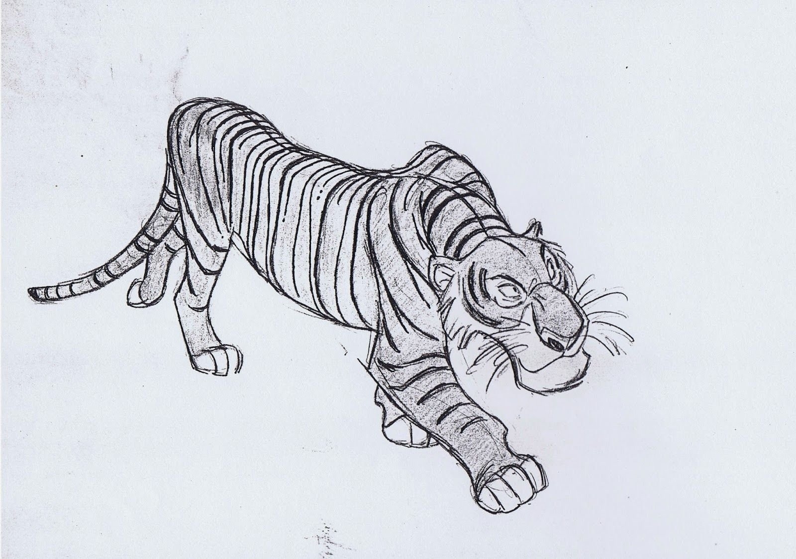 Рисунок тигра карандашом для срисовки