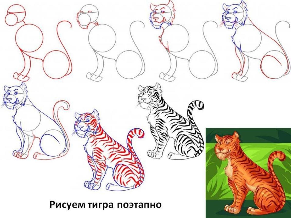 Тигр пошаговое рисование для детей