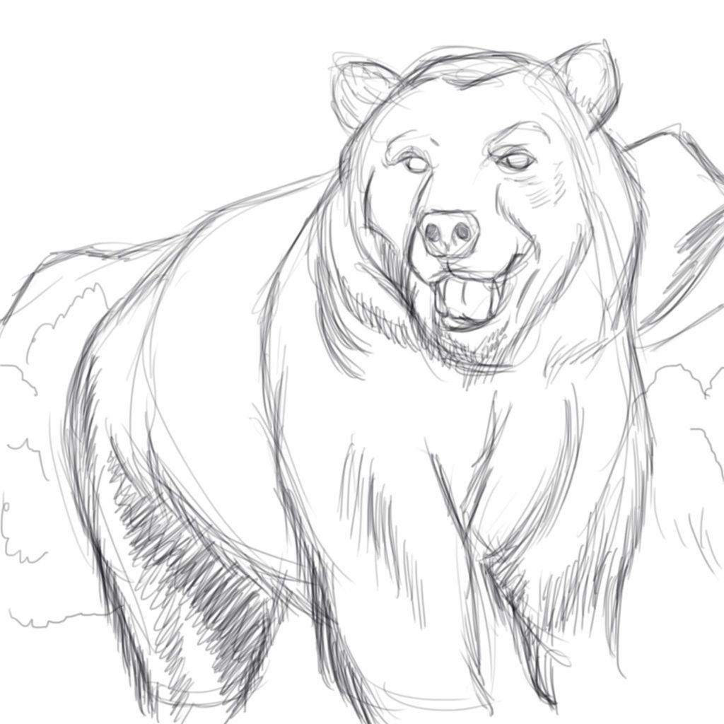 Рисунок медведя карандашом легко