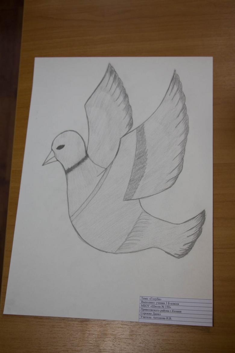 Как рисовать голубя