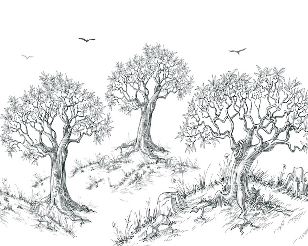 Деревья вдалеке рисунок