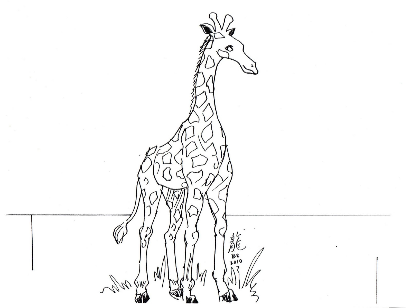 На рисунке изображен жираф. Жираф. Раскраска. Жираф рисунок карандашом. Раскраска жирафа. Жираф раскраска для детей.