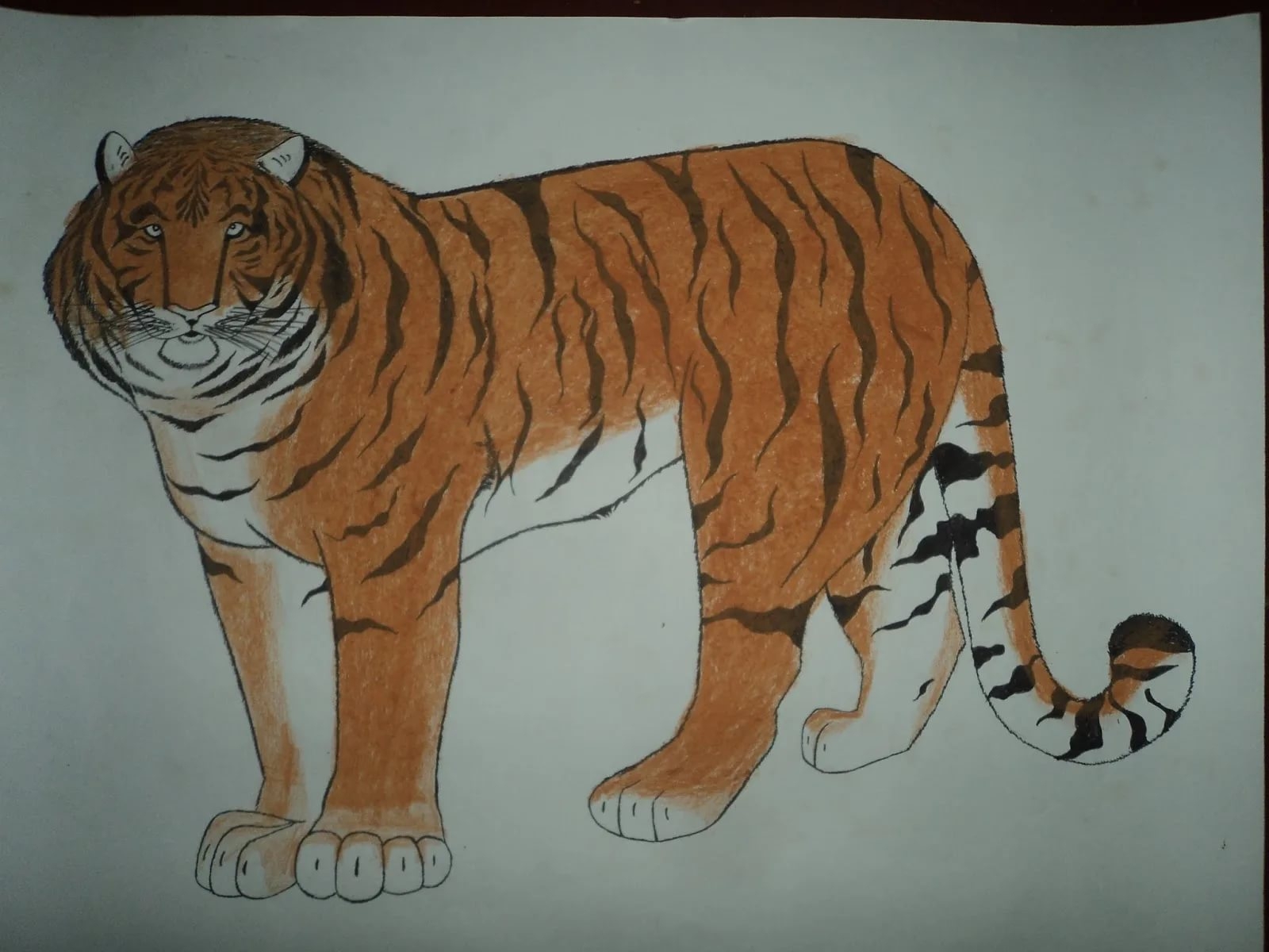 Цветной тигр рисунок Африканский