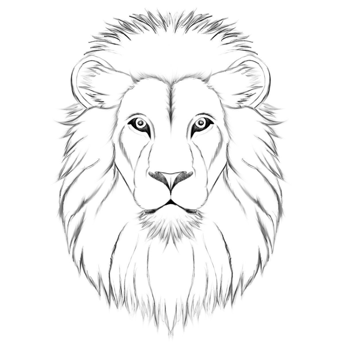 Как нарисовать голову льва карандашом, красками поэтапно? | Лев эскиз, Рисунки, Львы