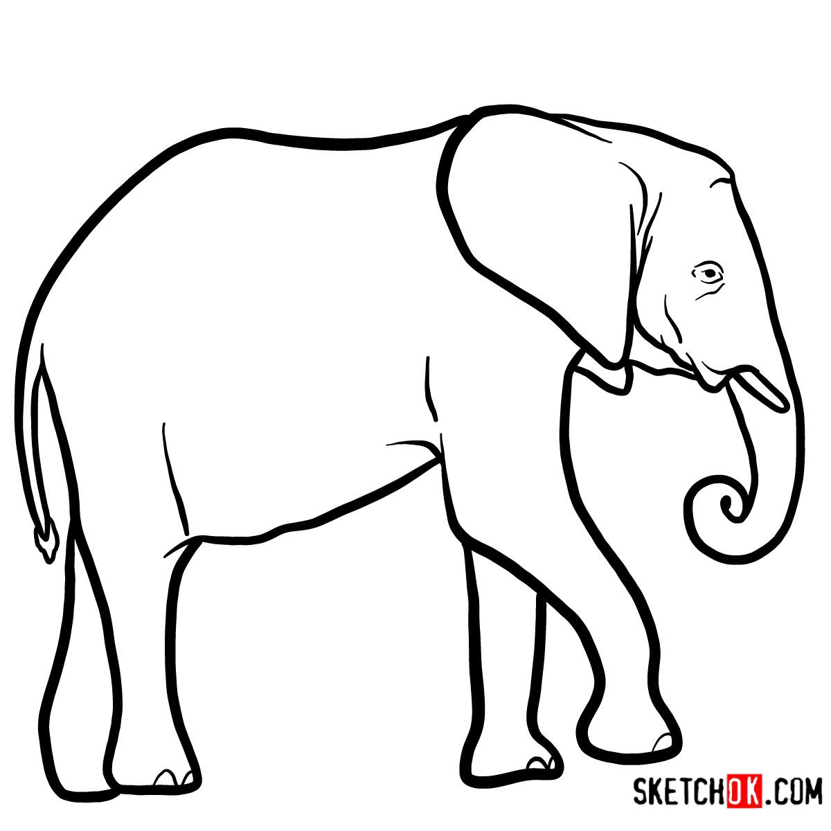 Слон сбоку рисунок карандашом