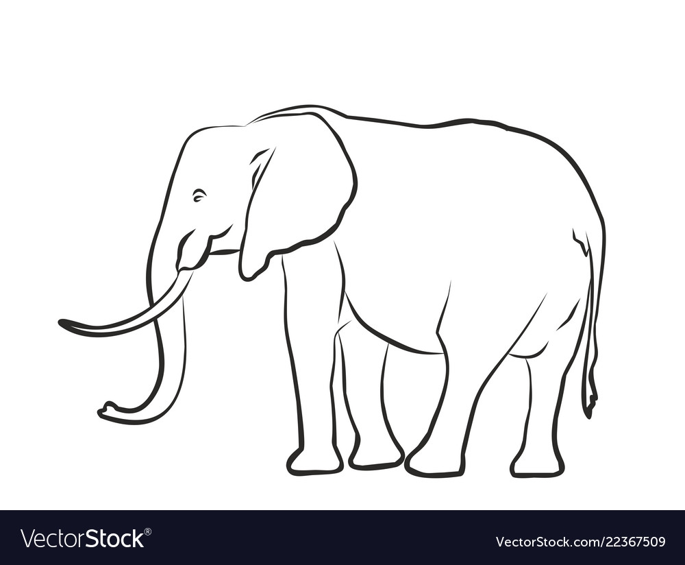 Слон чертеж