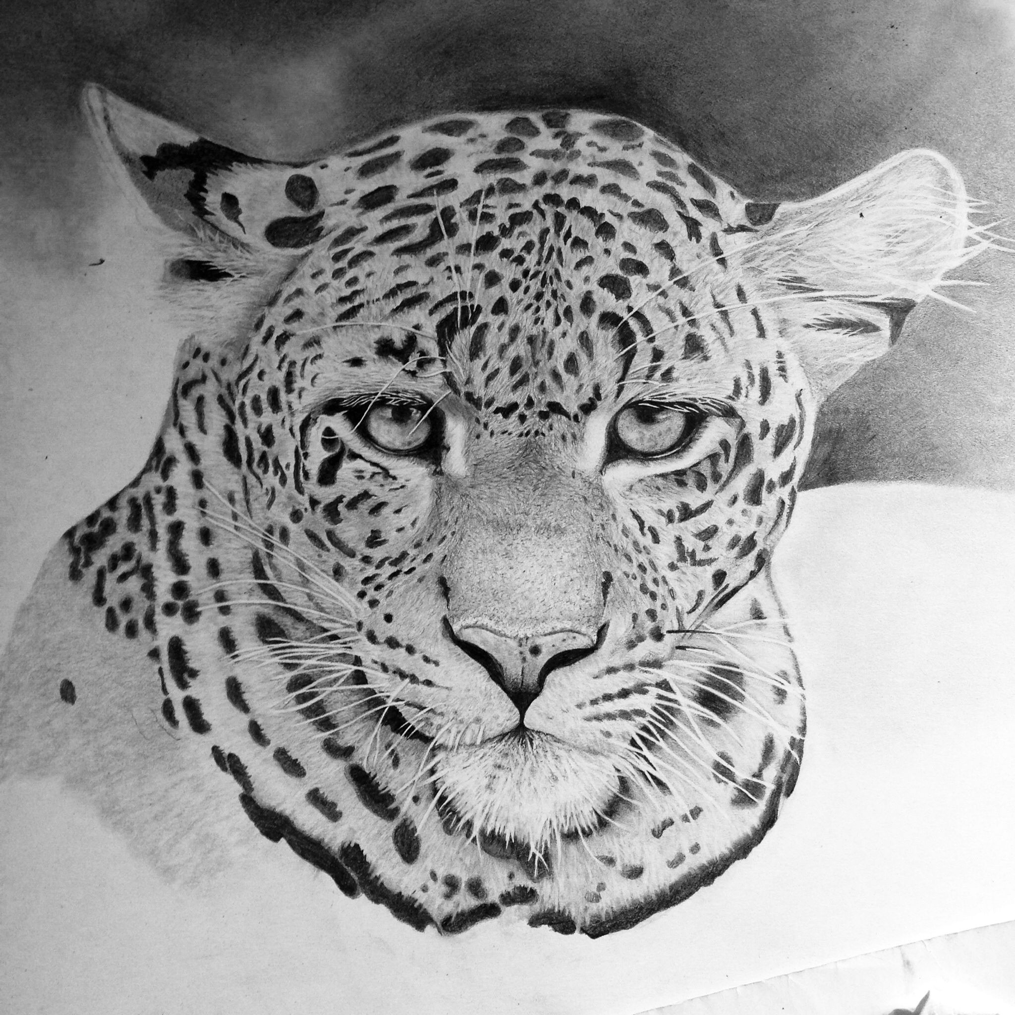 Идеи для рисунков леопарды