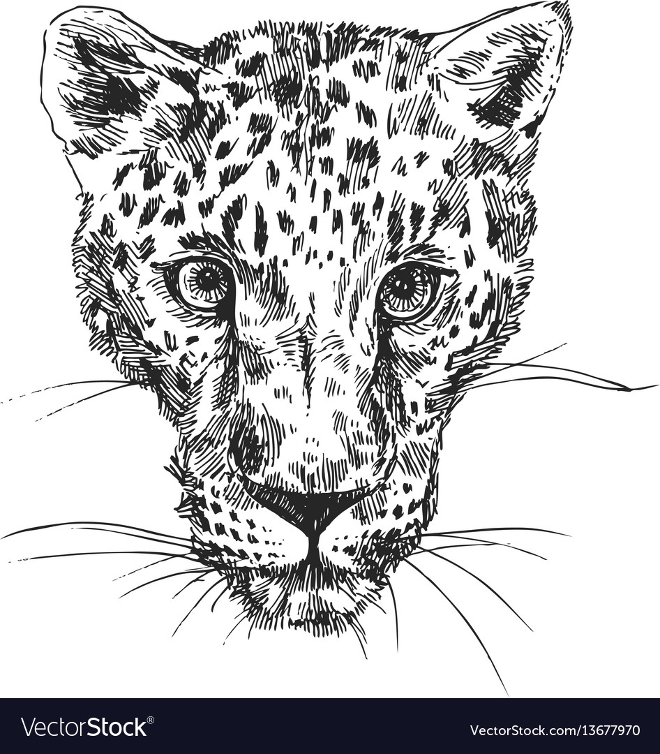 Леопард тату эскиз