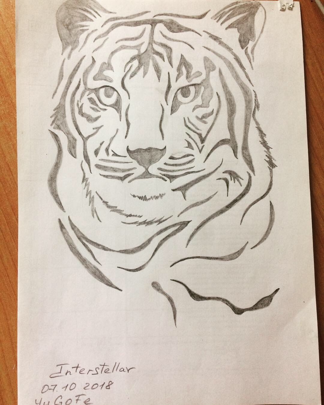 Тигр карандашом для срисовки